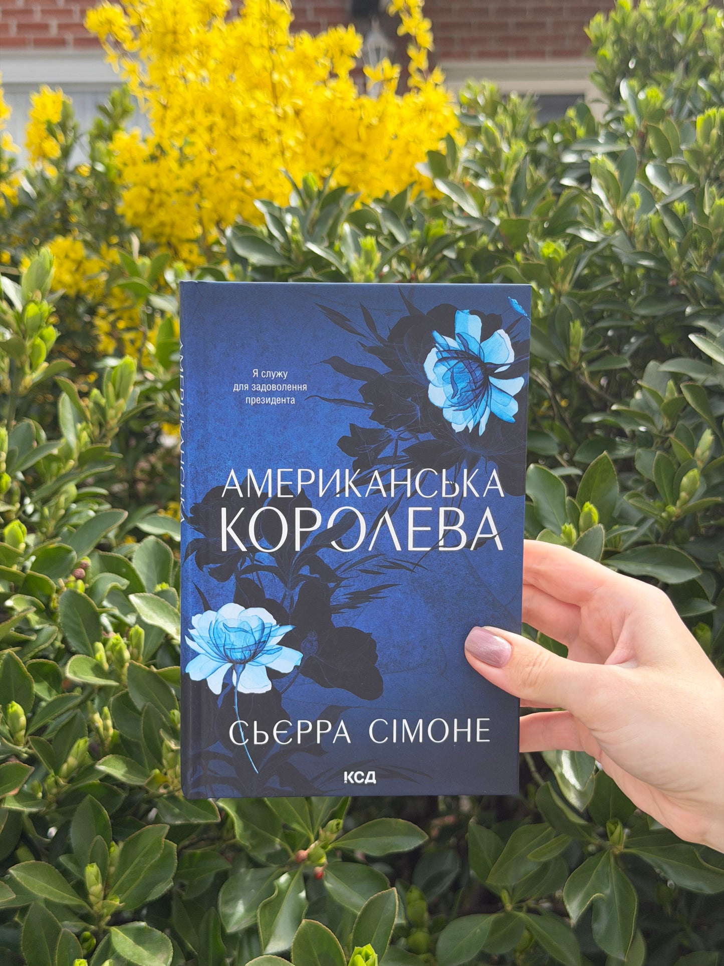 Американська королева. Книга 1
