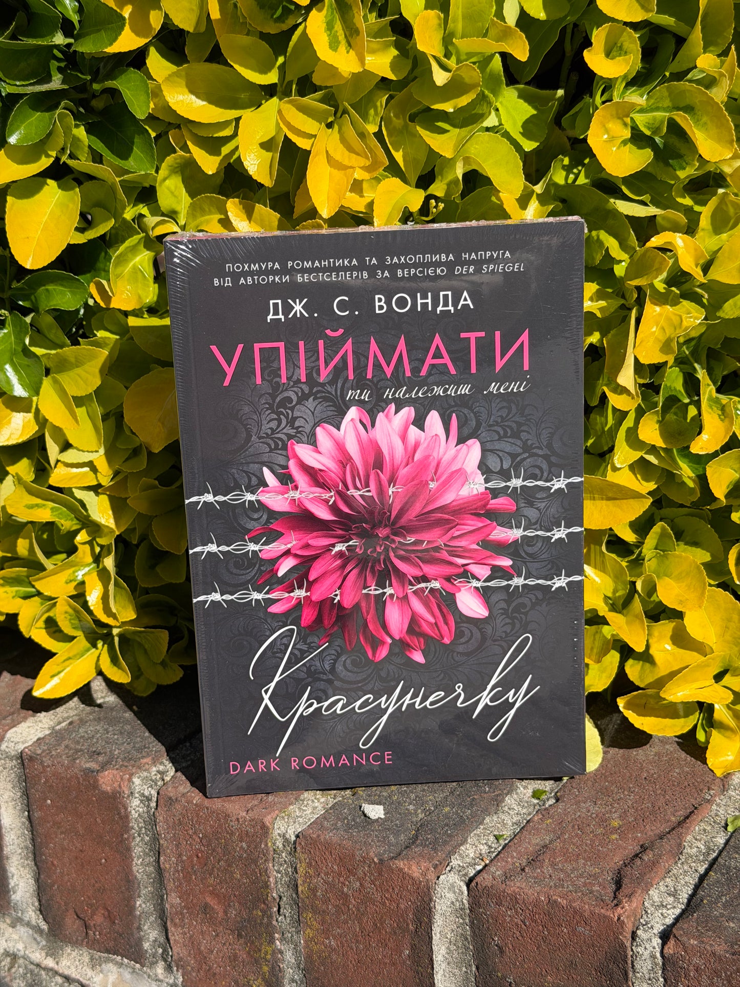Упіймати красунечку. Ти належиш мені. Книга 1