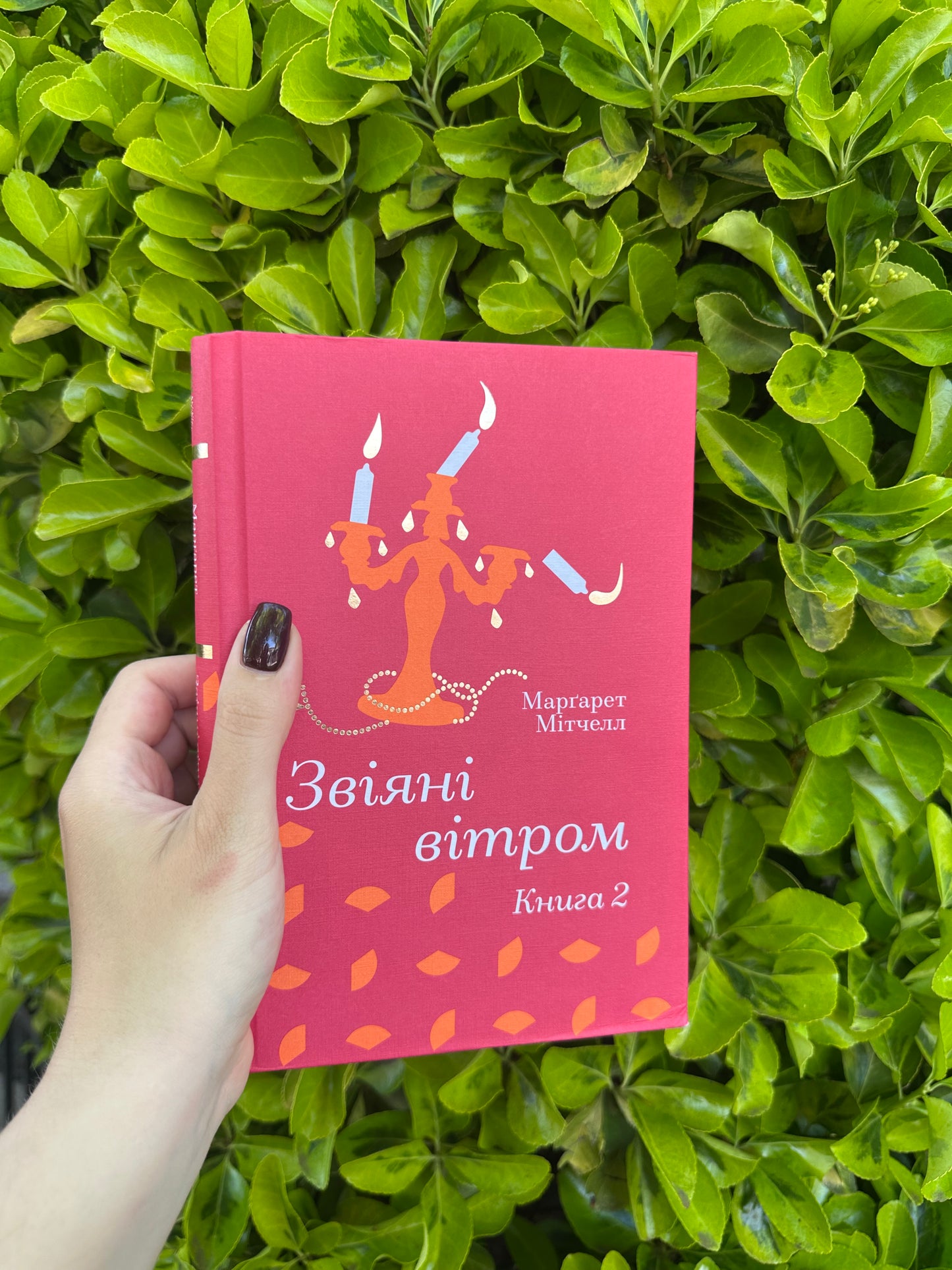 Звіяні вітром. Том 2