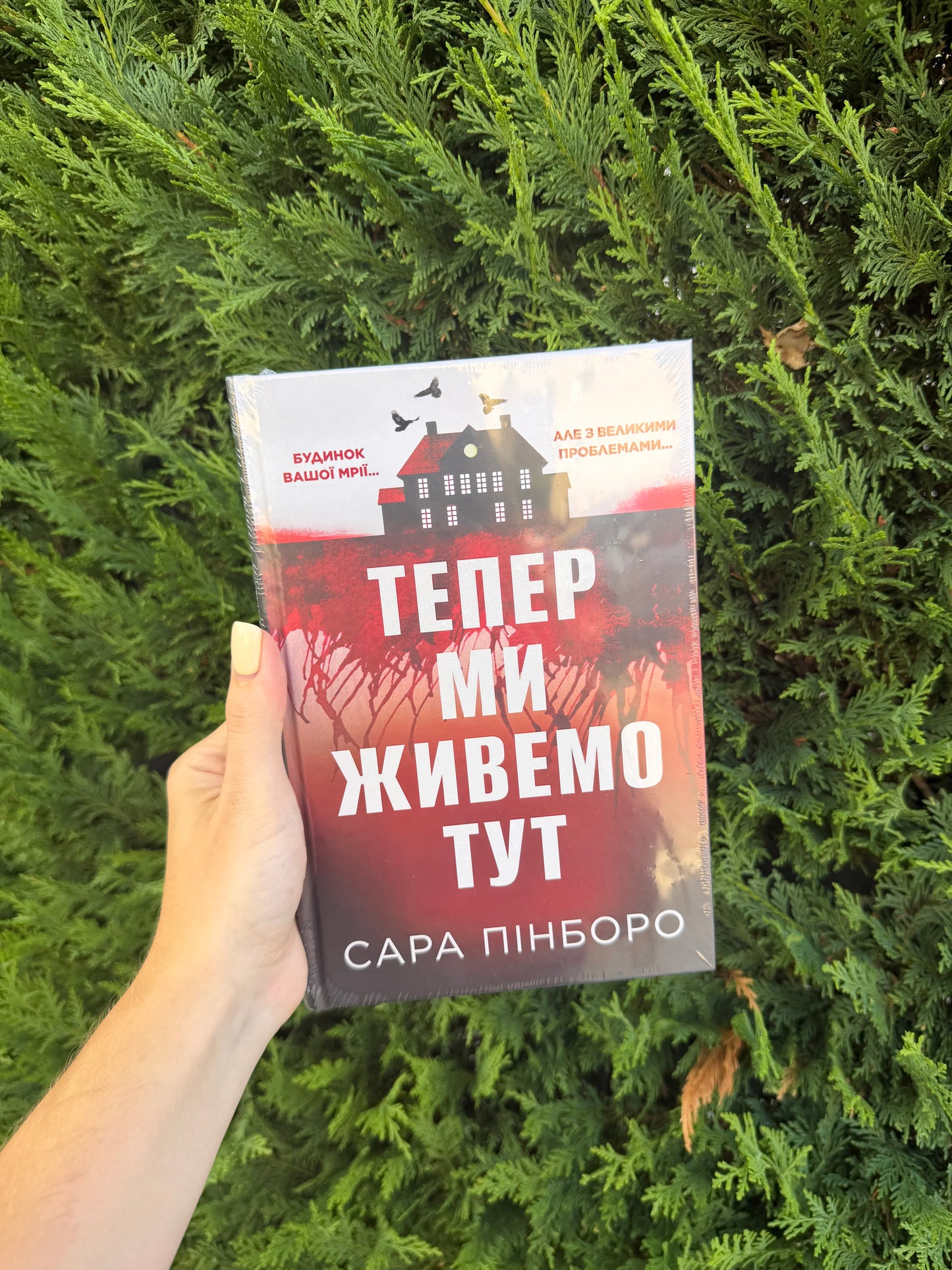 Тепер ми живемо тут