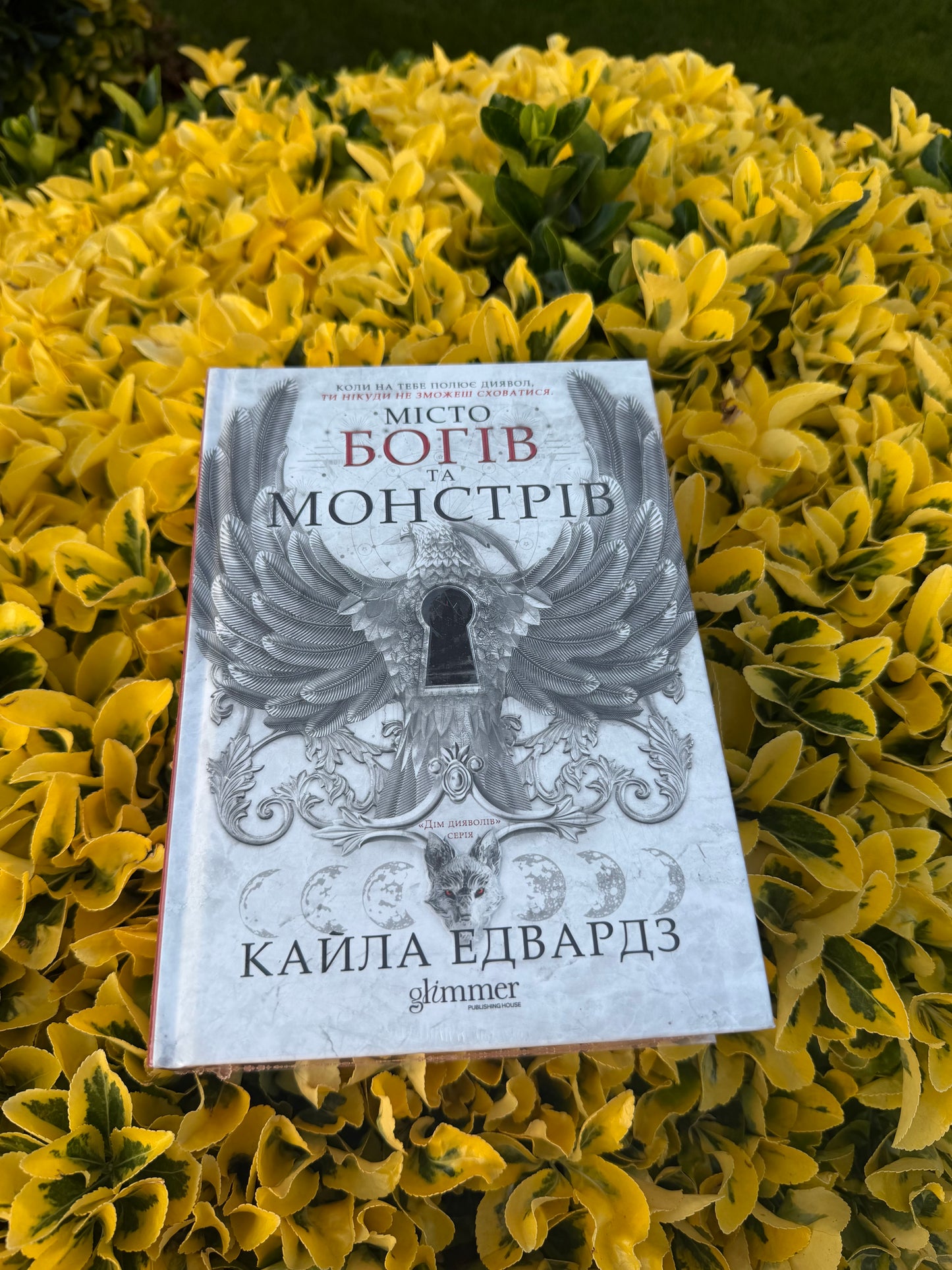 Місто Богів та Монстрів. Книга 1