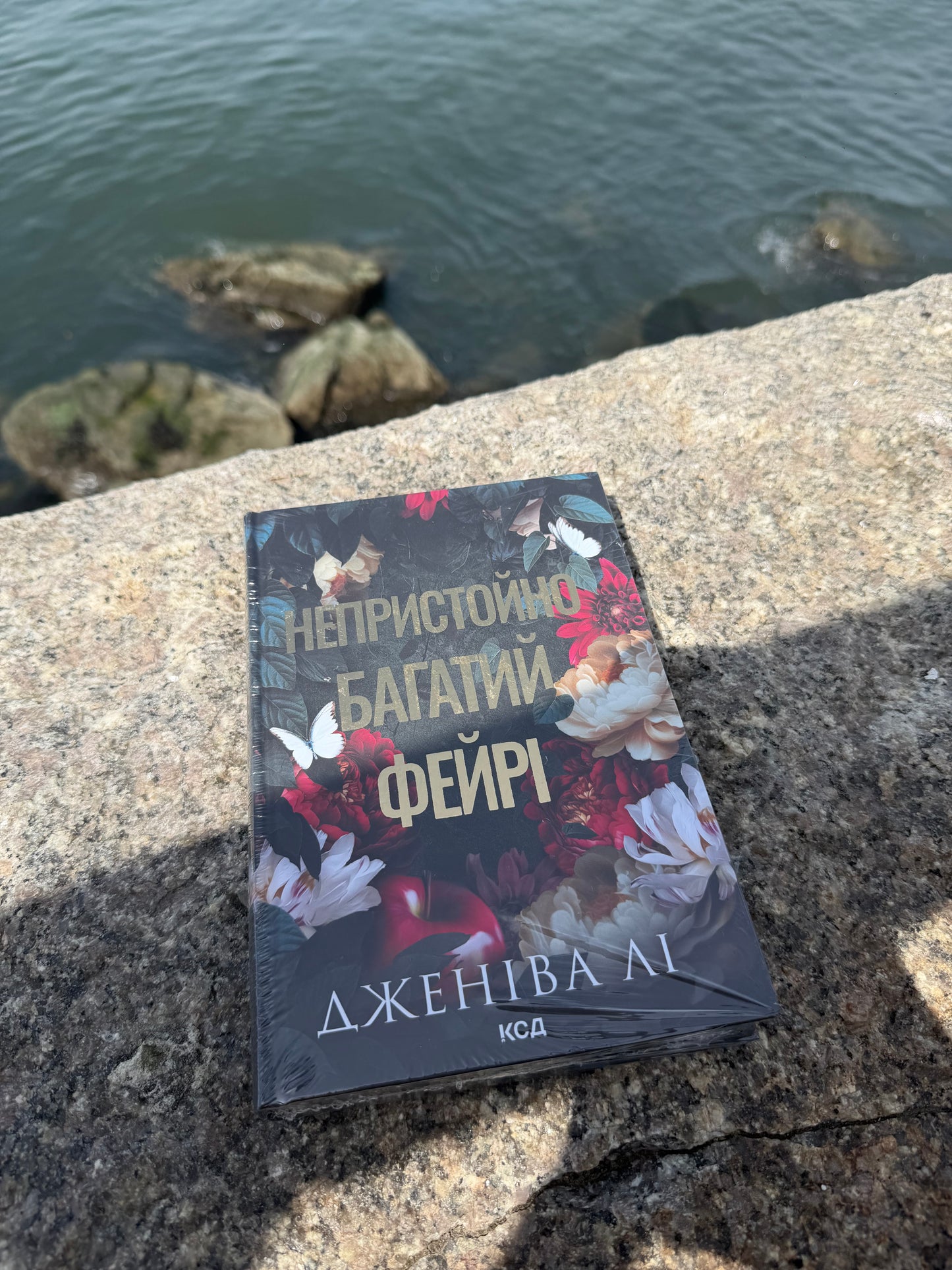 Непристойно багатий фейрі. Книга 1