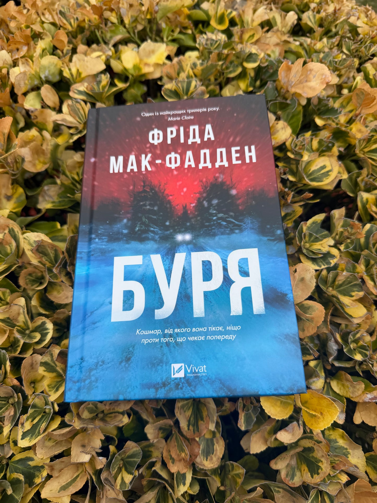 Буря