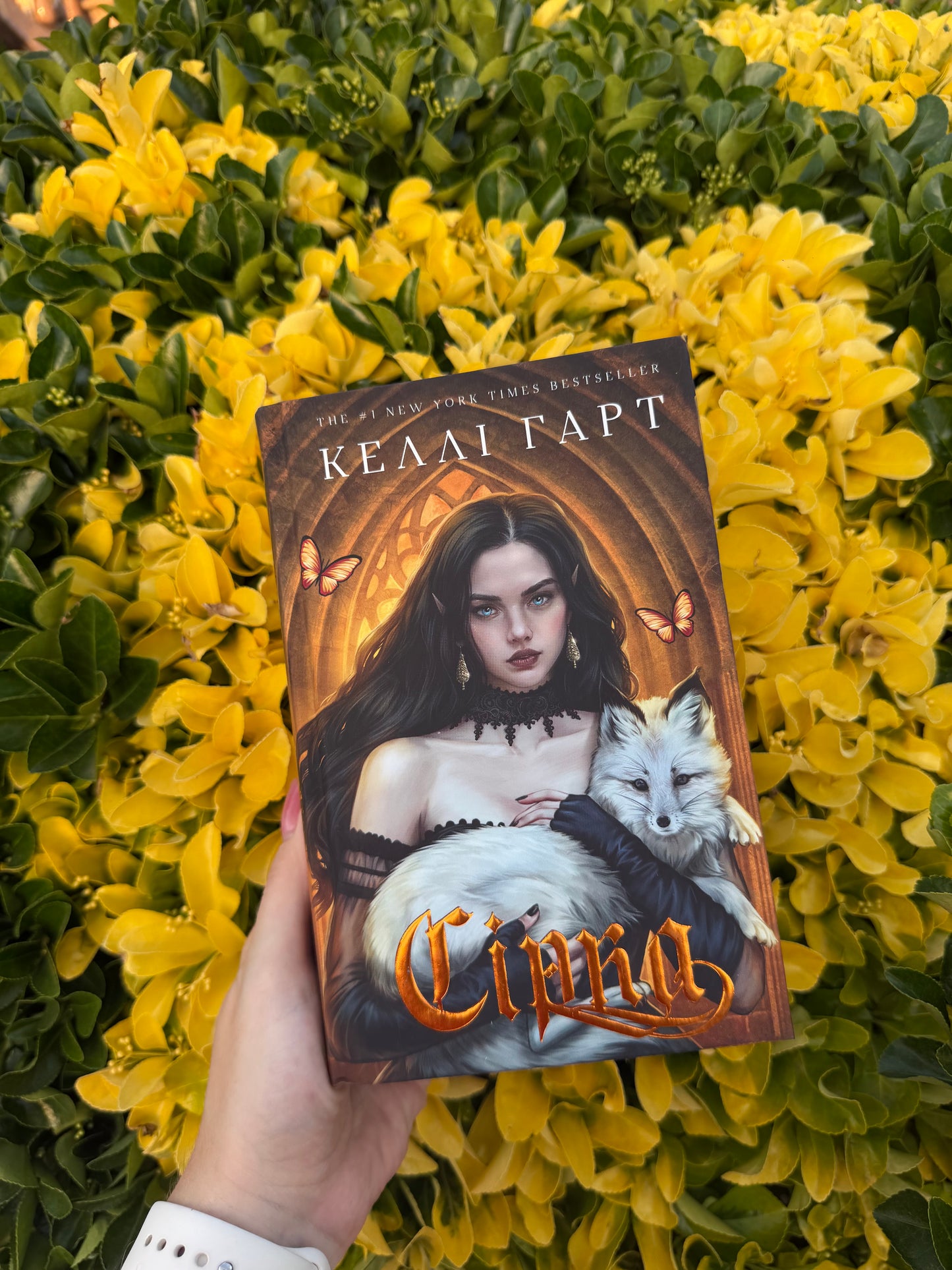 Фейрі й алхімія. Сірка. Книга 2