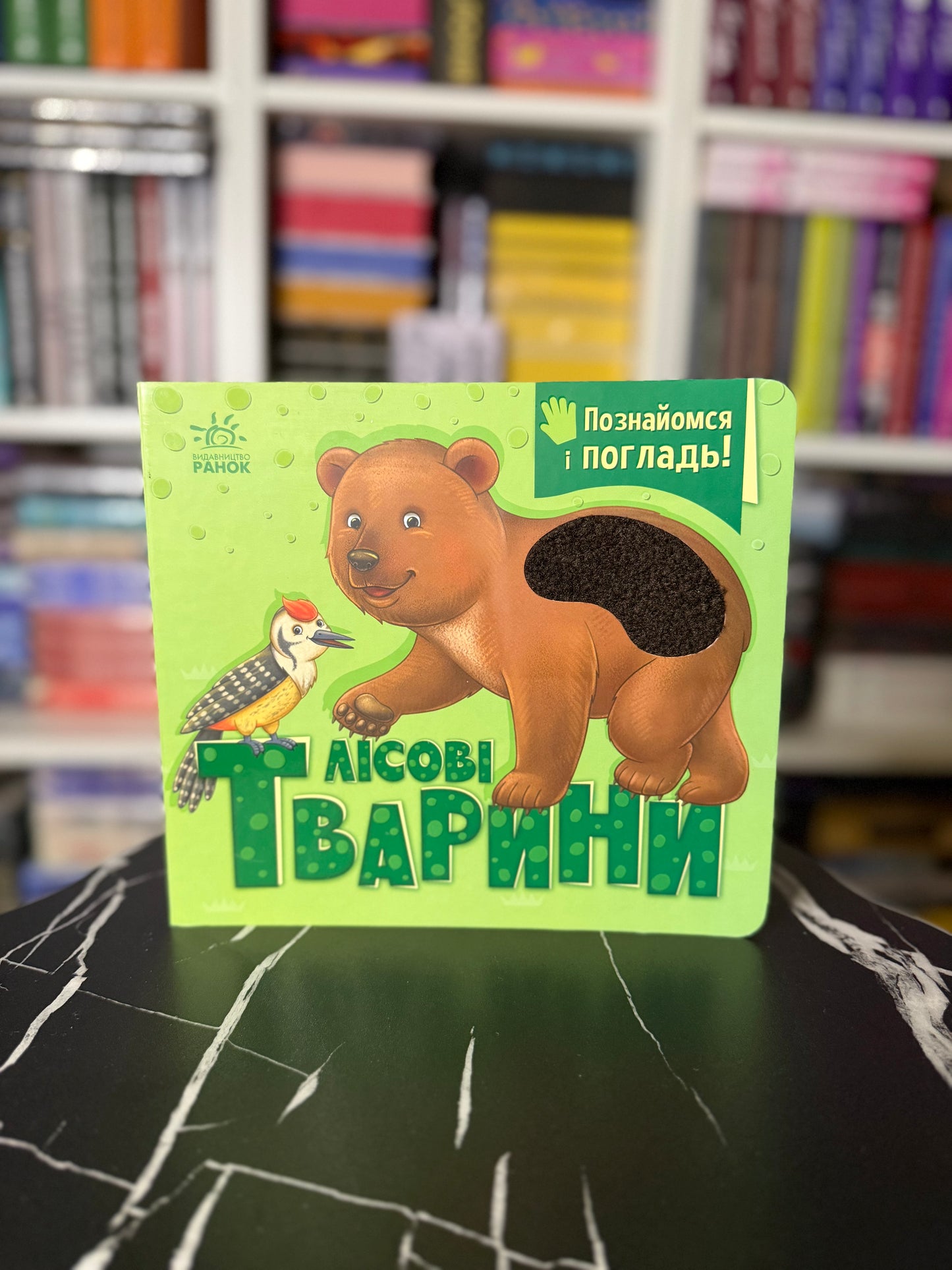 Познайомся і погладь. Лісові тварини