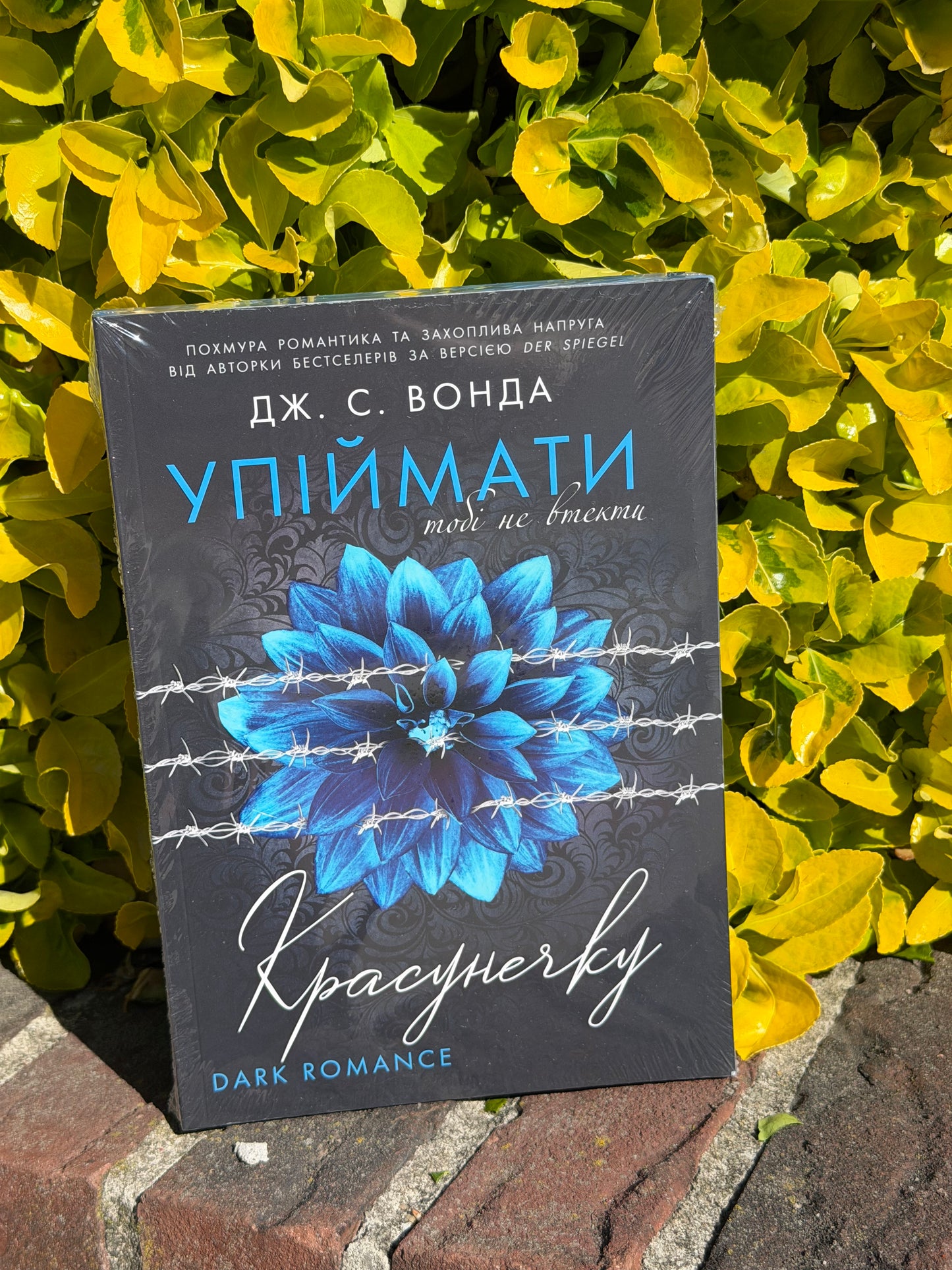 Упіймати красунечку. Тобі не втекти. Книга 2