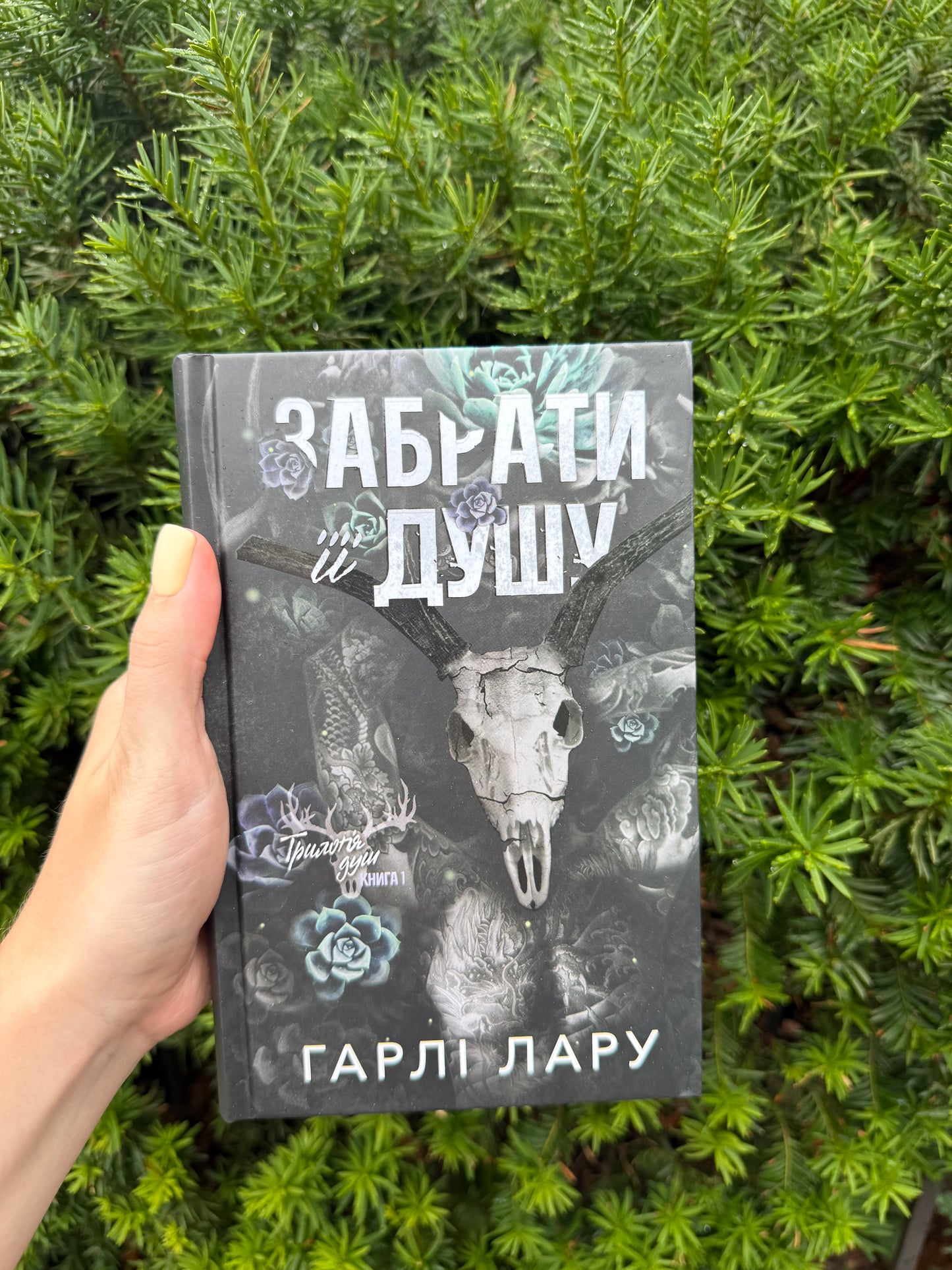 Трилогія душ. Забрати її душу. Книга 1