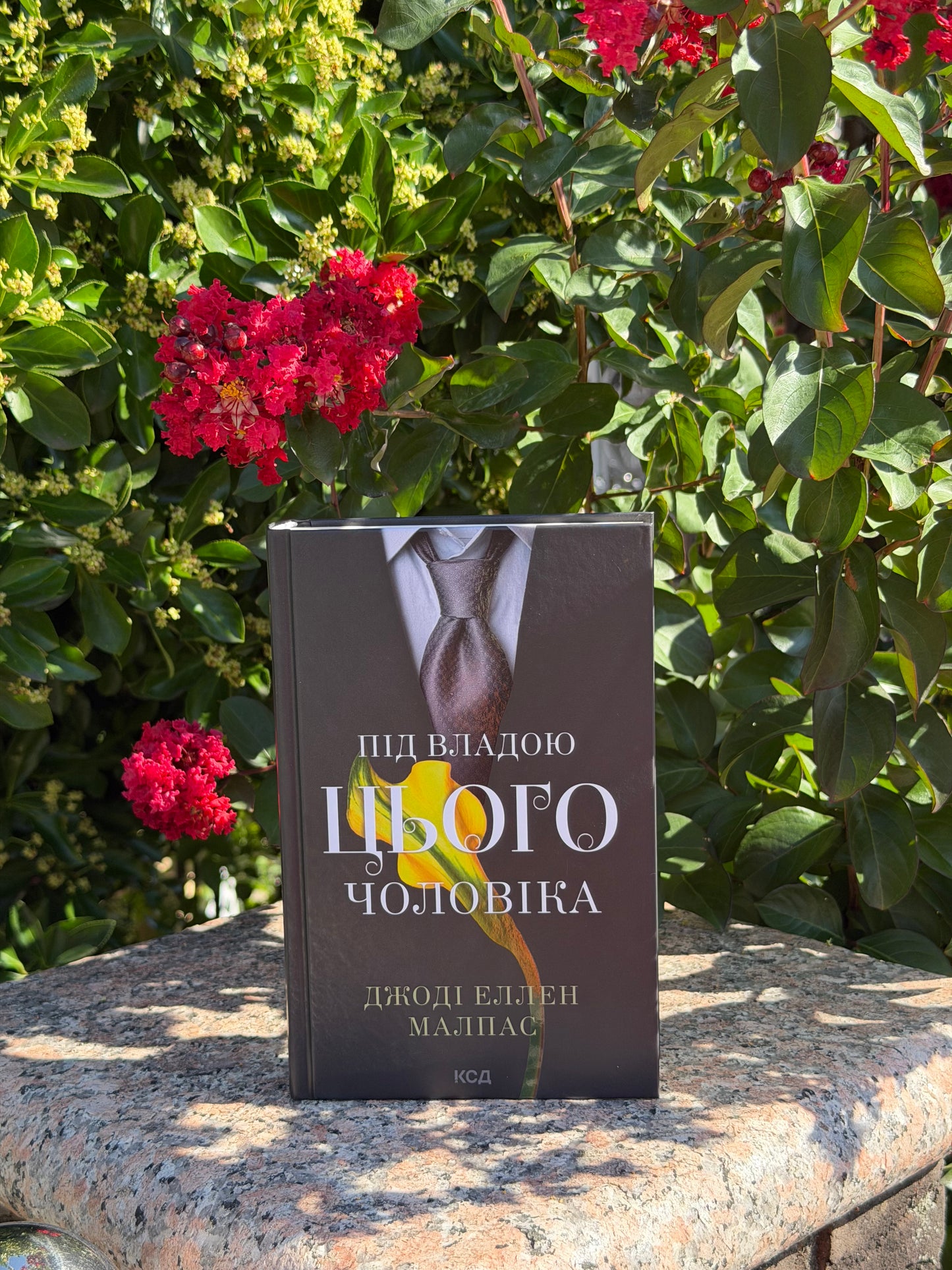Під владою цього чоловіка. Книга 2
