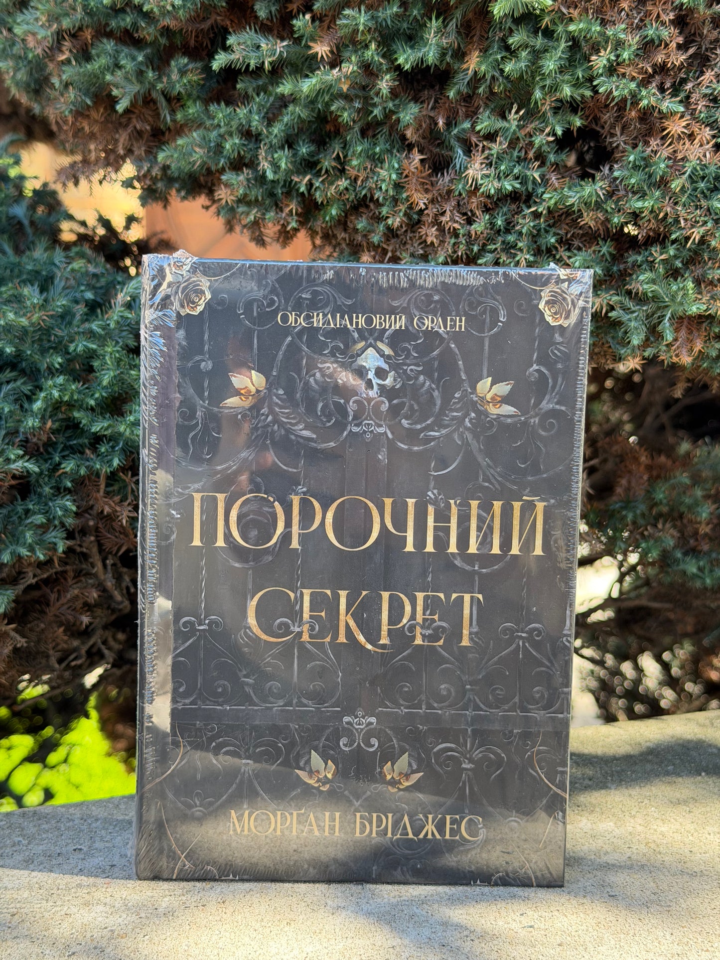 Обсидіановий орден. Порочний секрет. Книга 1