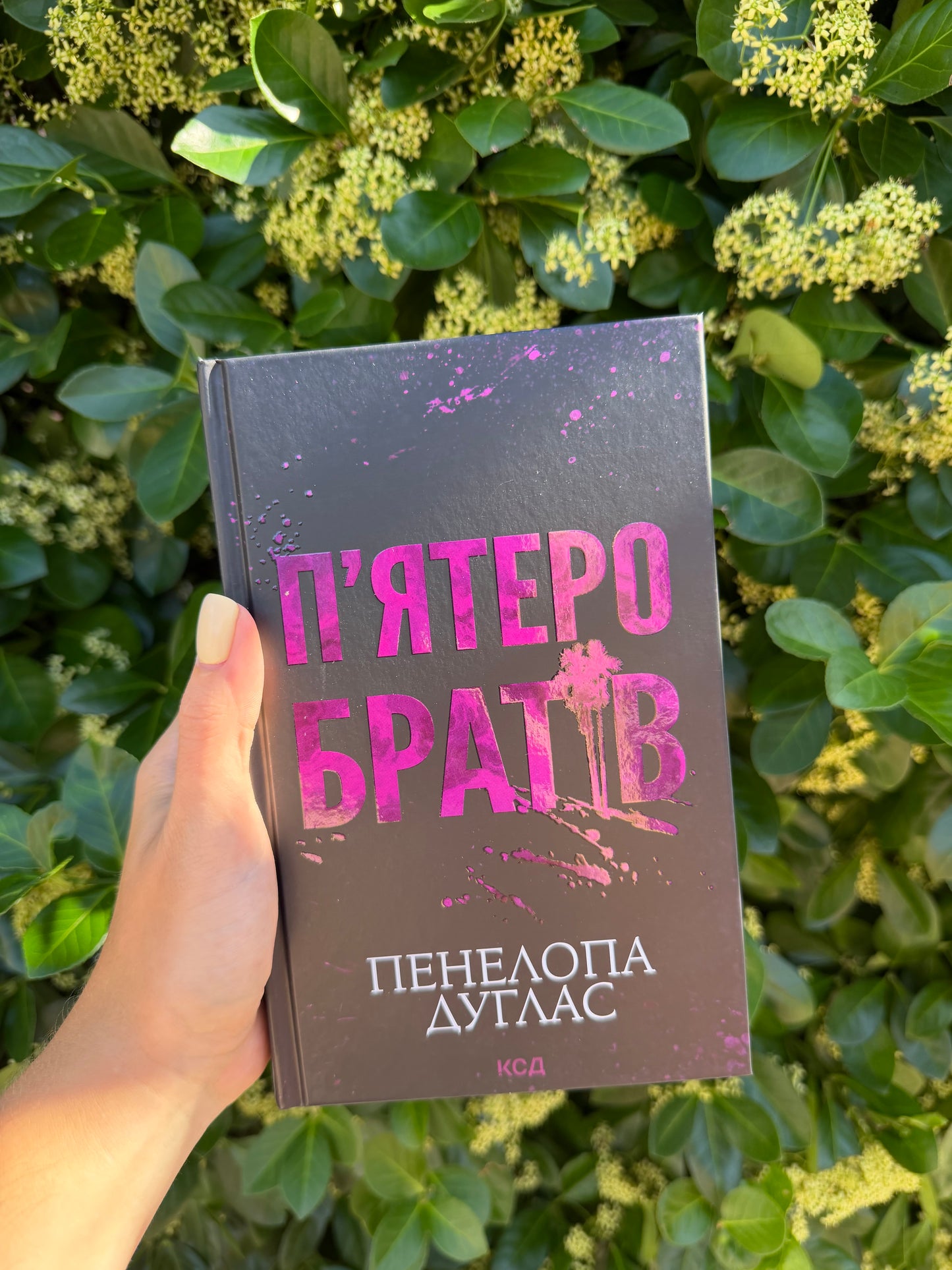 П'ятеро братів