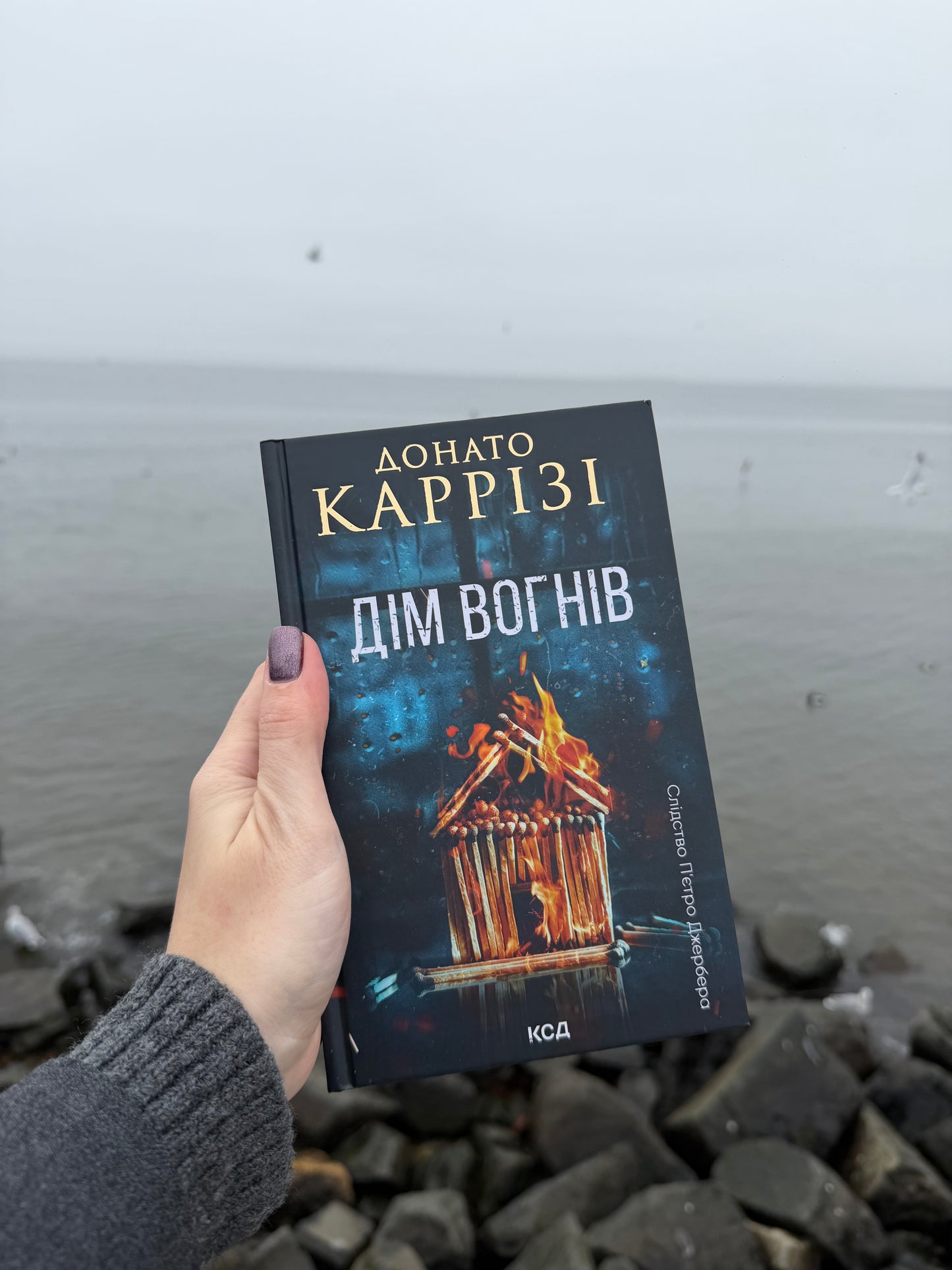 Дім вогнів. Слідство П’єтро Джербера. Книга 3