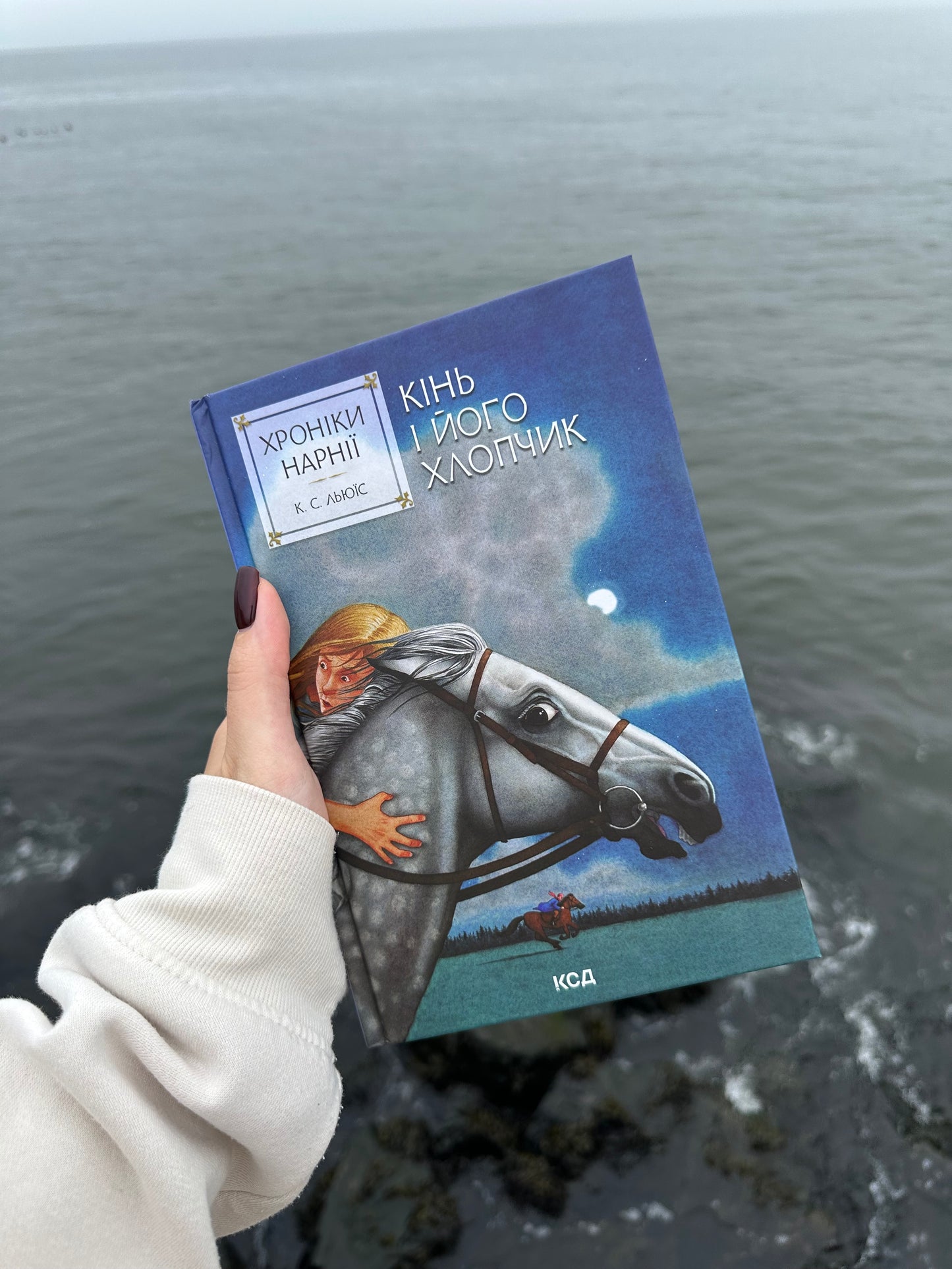Хроніки Нарнії. Кінь і його хлопчик. Книга 3