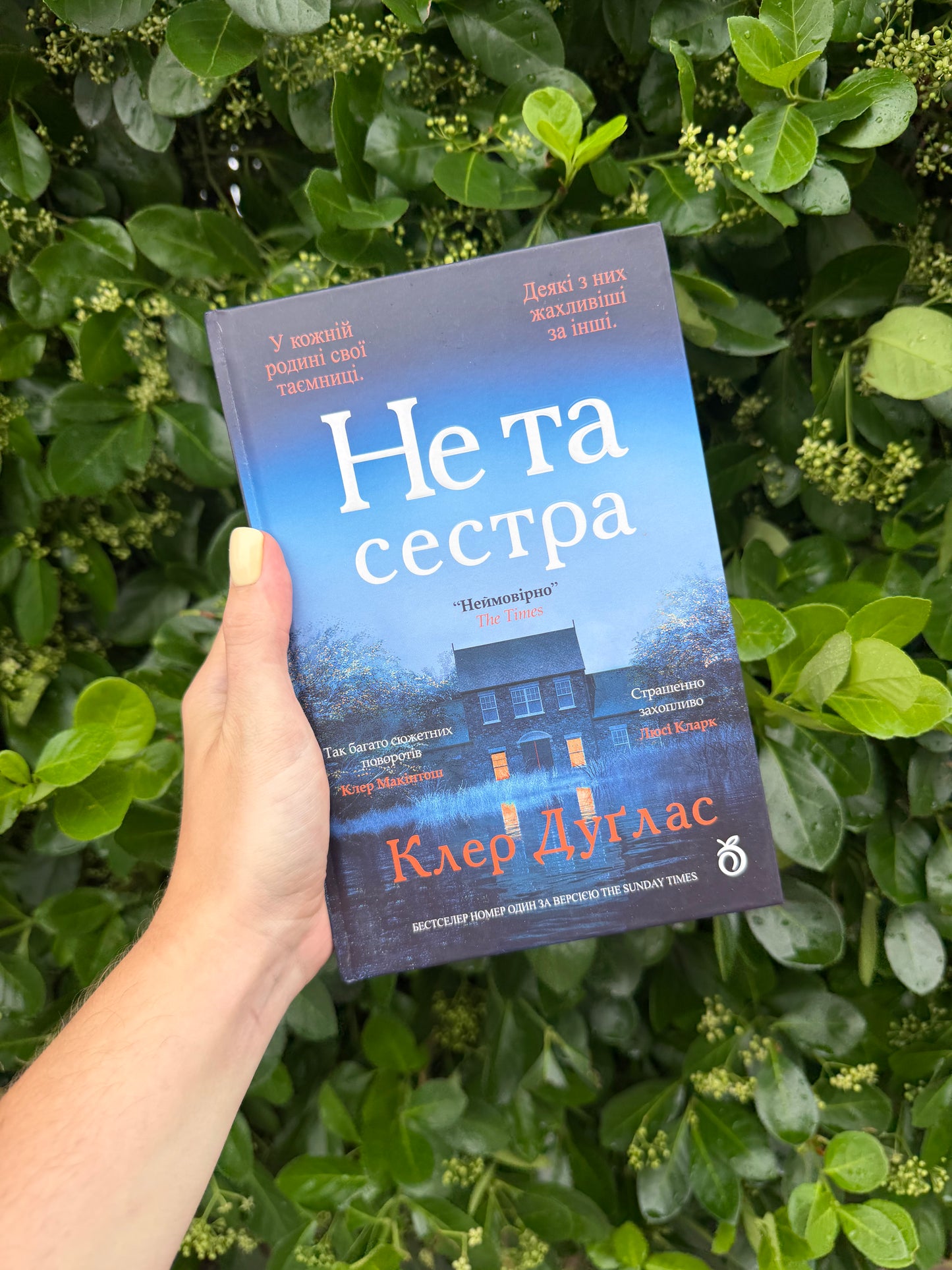 Не та сестра (з ілюстрованим зрізом)