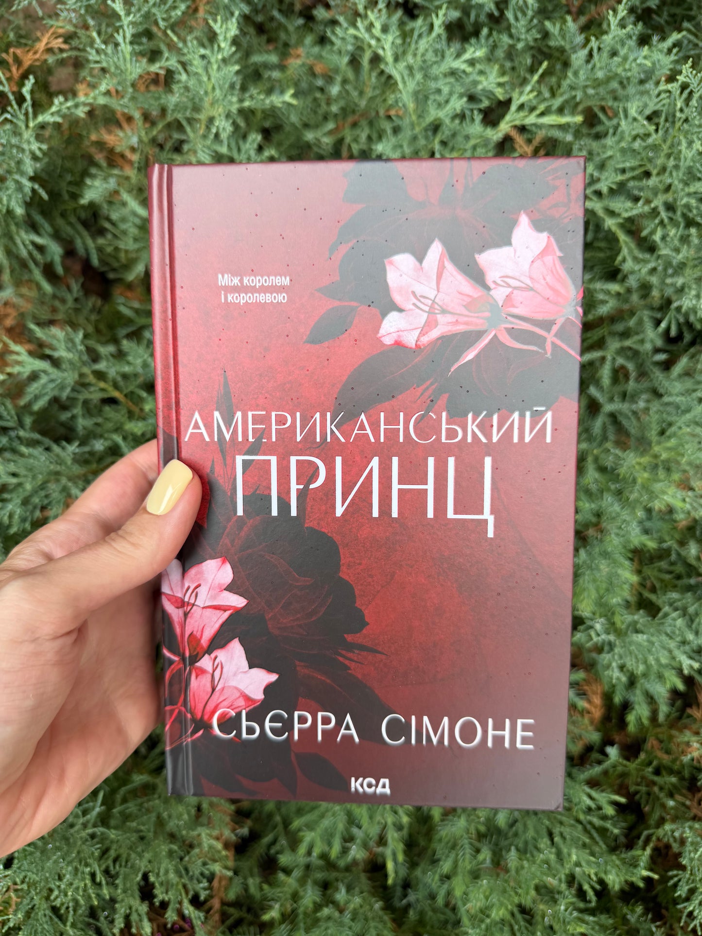 Американський принц. Книга 2