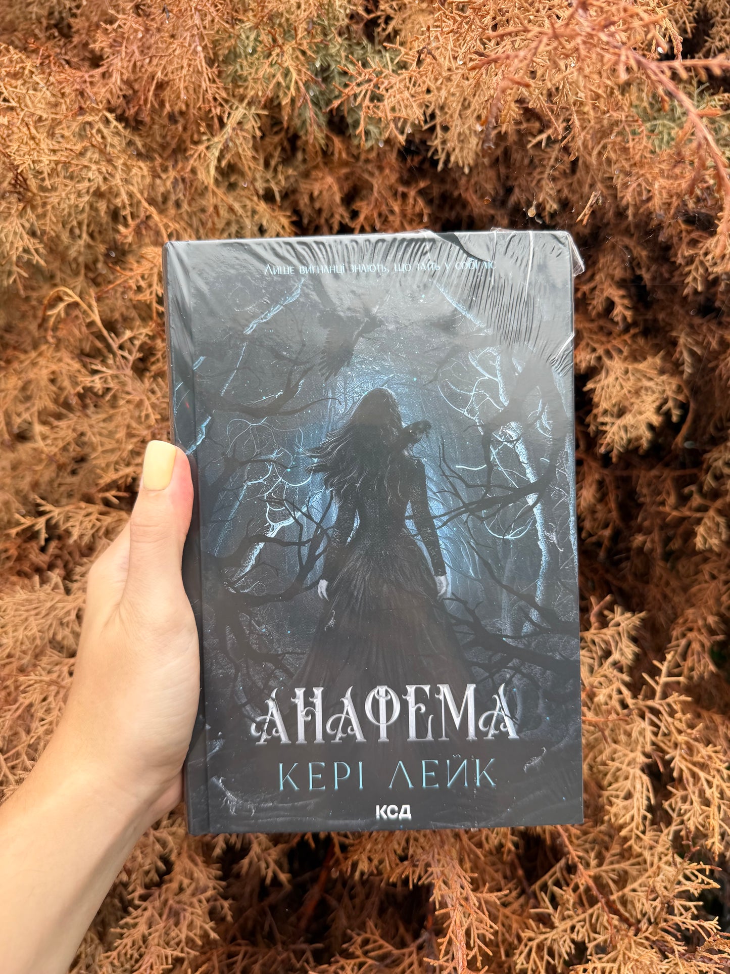 Анафема. Книга 1