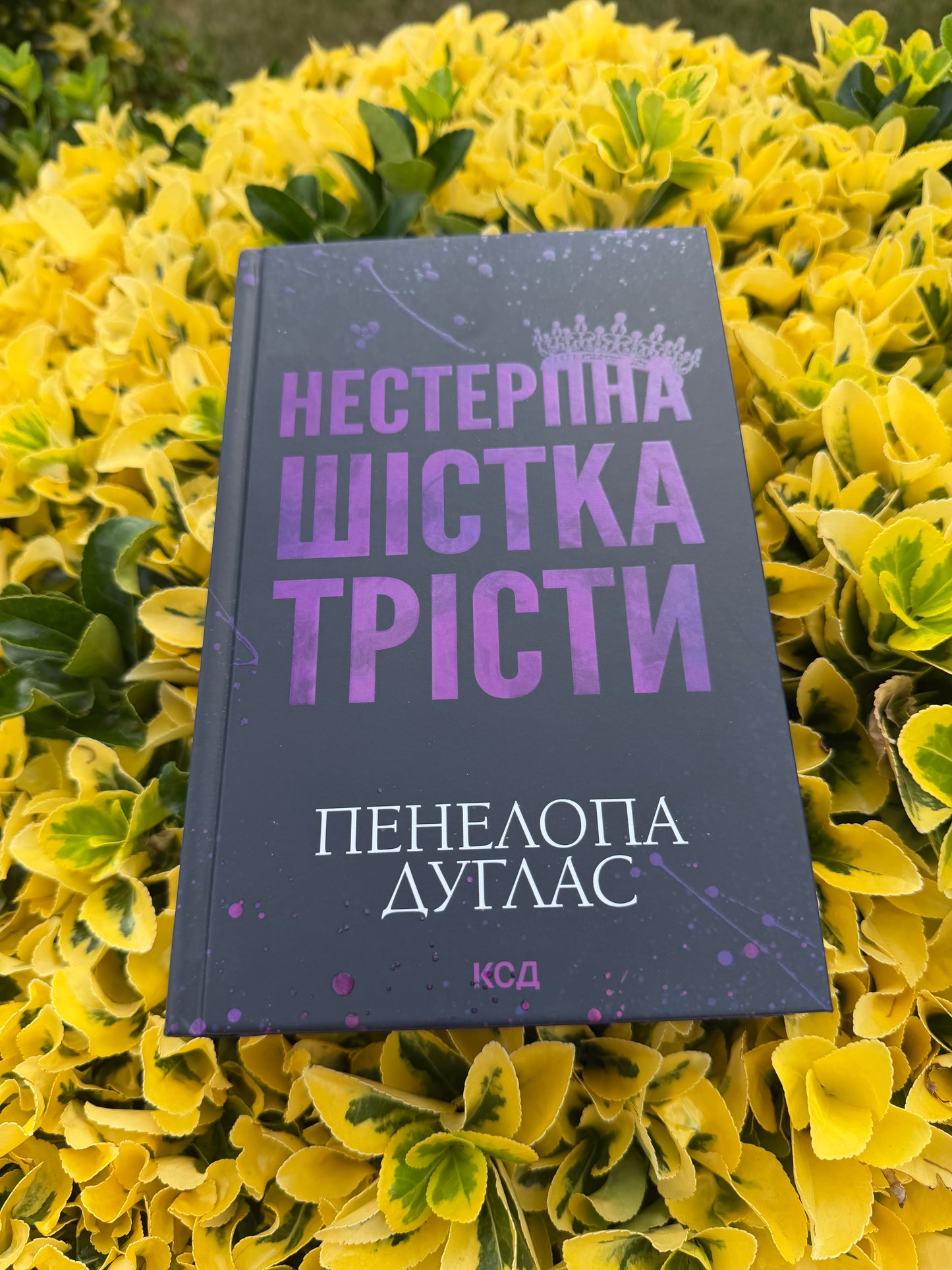 Нестерпна шістка Трісти