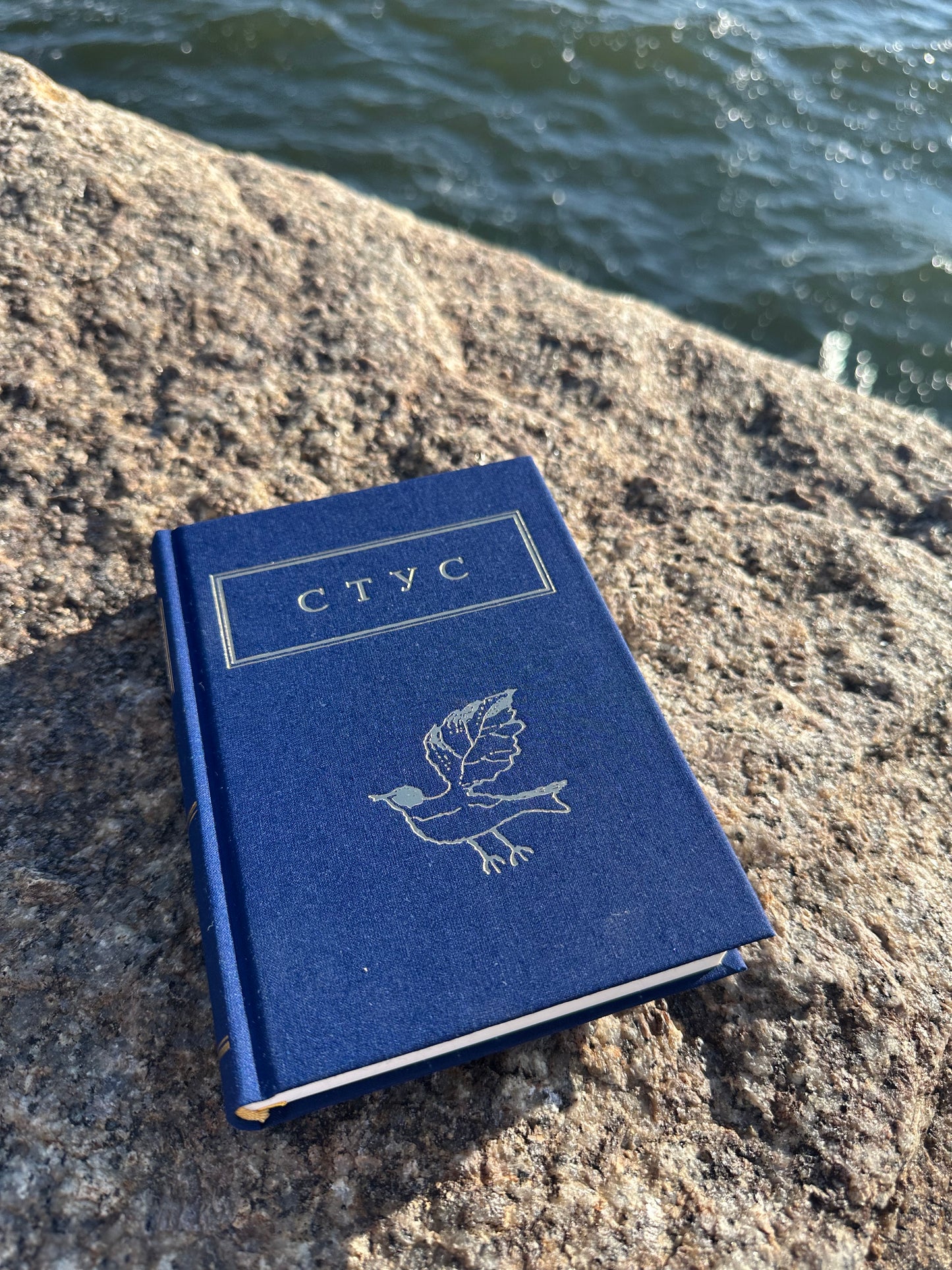 Палімпсести
