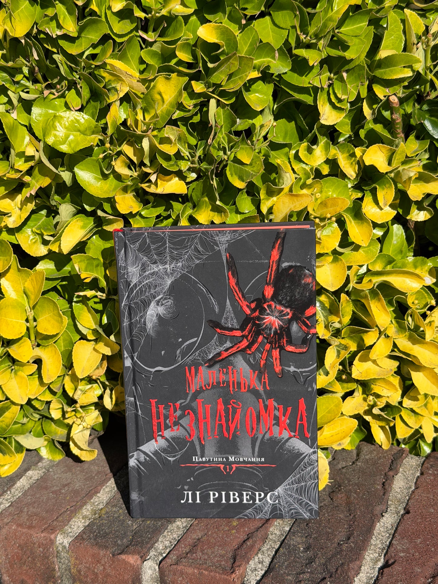 Маленька незнайомка. Книга 1