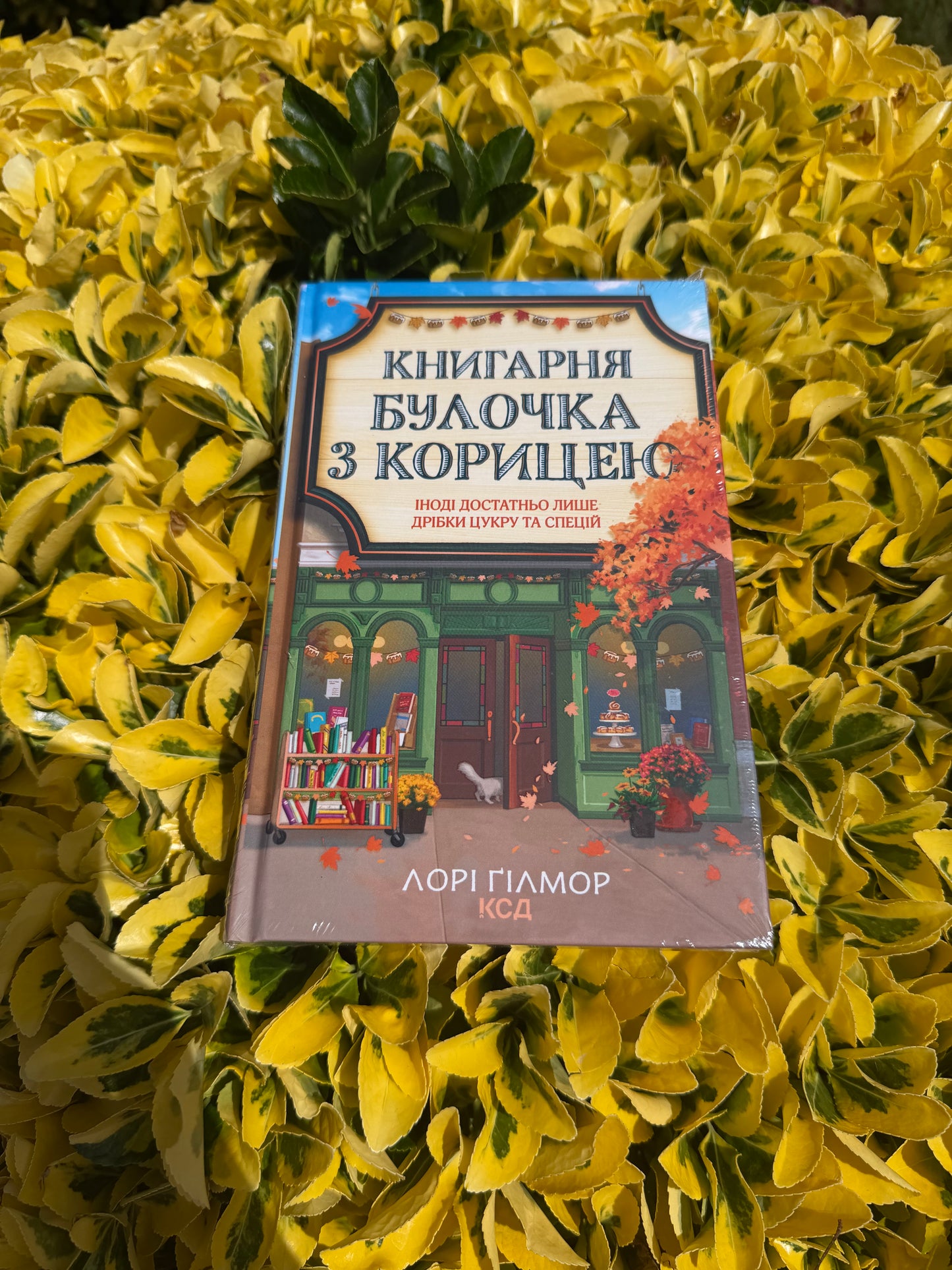 Книгарня «Булочка з корицею». Гавань Мрій. Книга 2