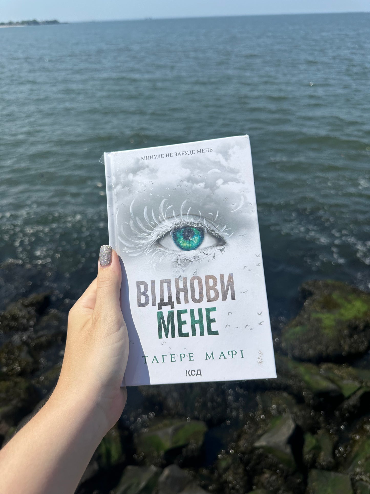 Віднови мене. Книга 4