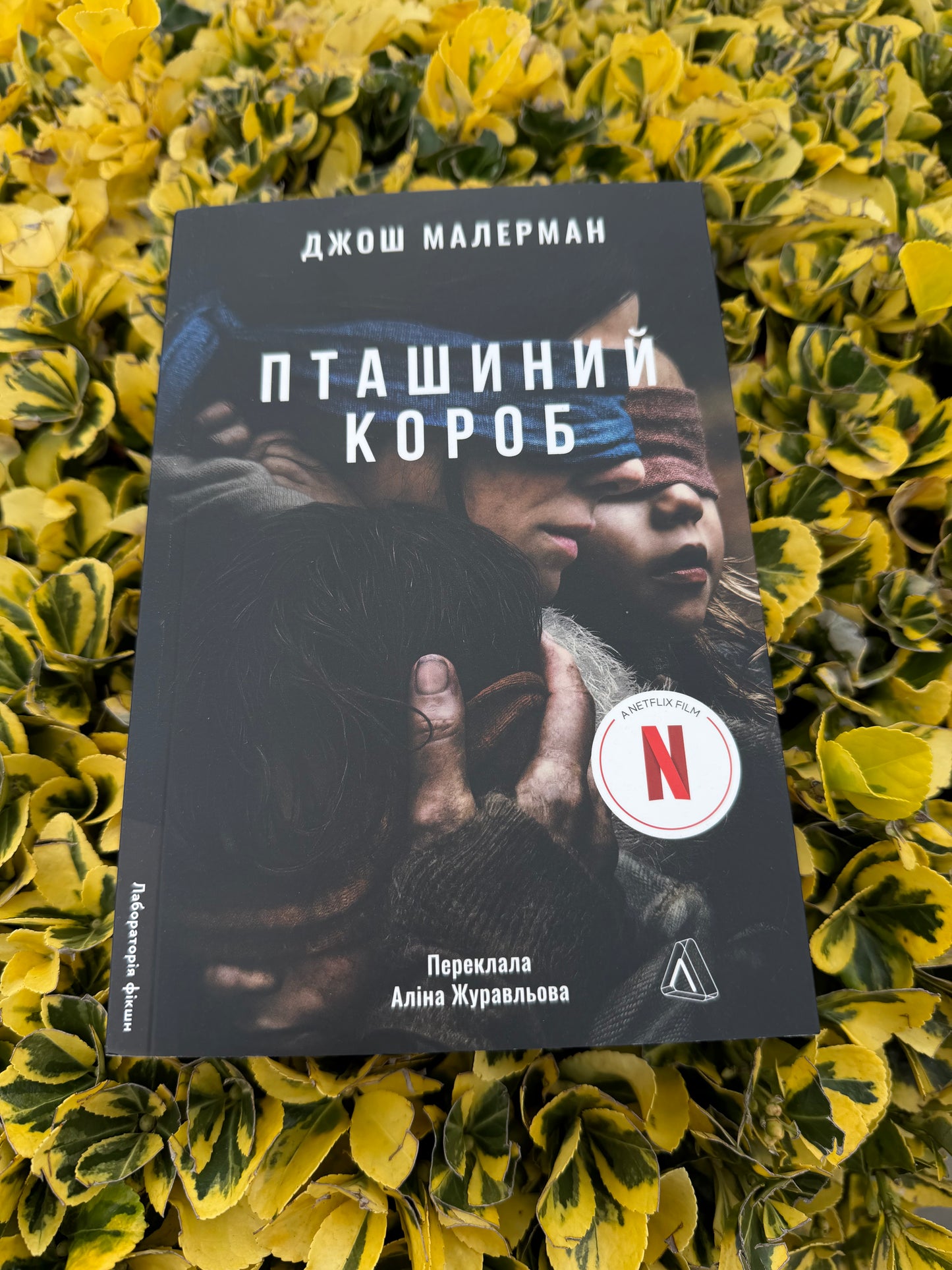 Пташиний короб