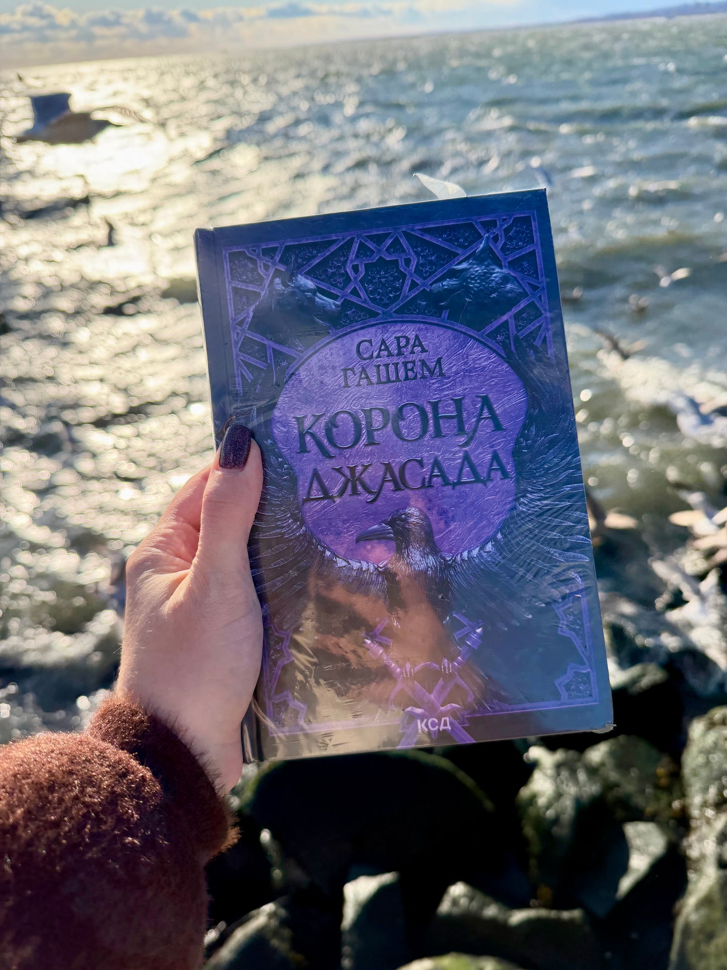 Корона Джасада. Спалений Престол. Книга 2