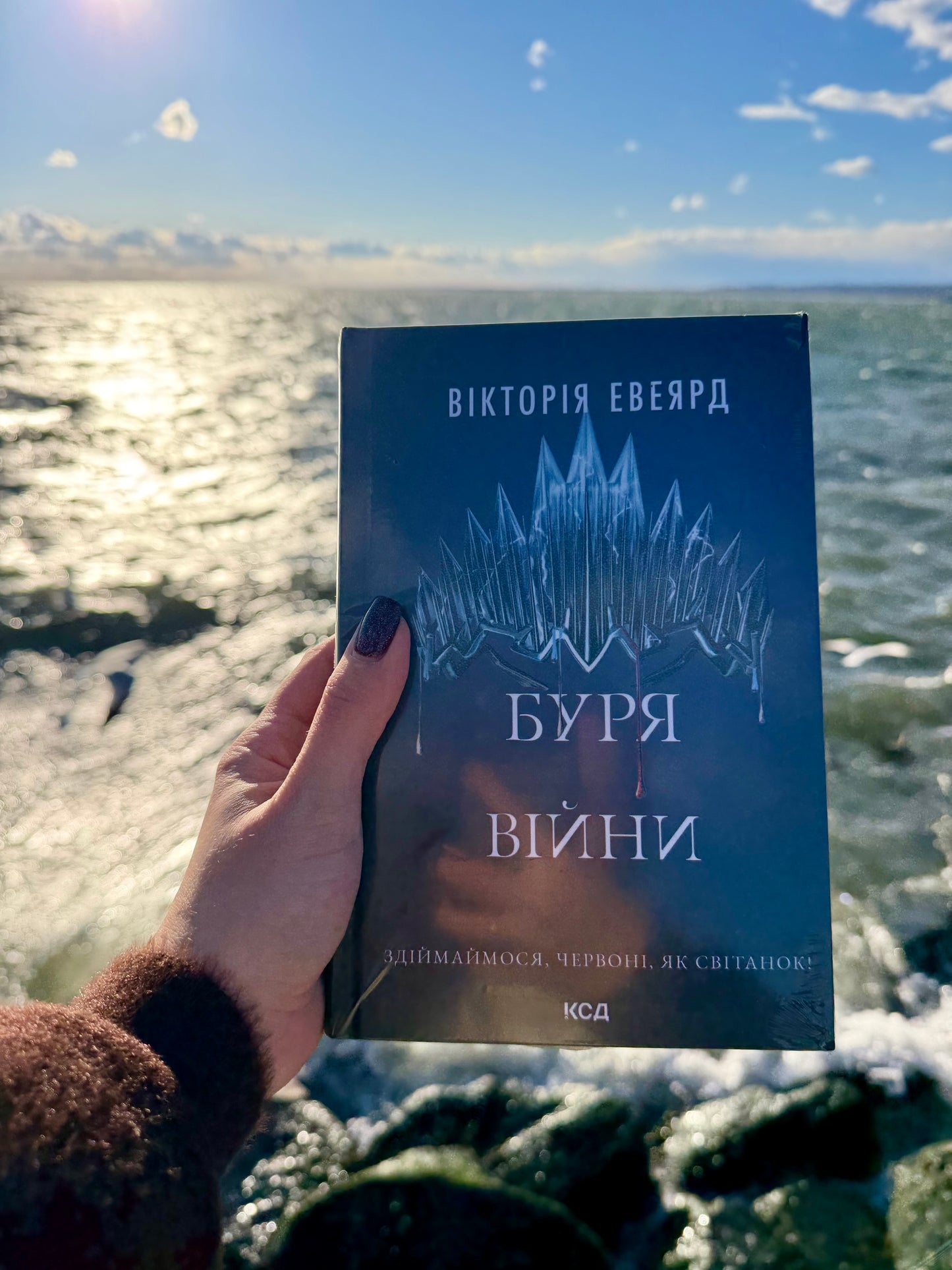 Буря війни.Книга 4
