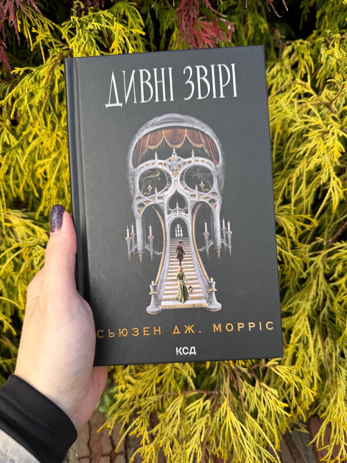 Дивні звірі