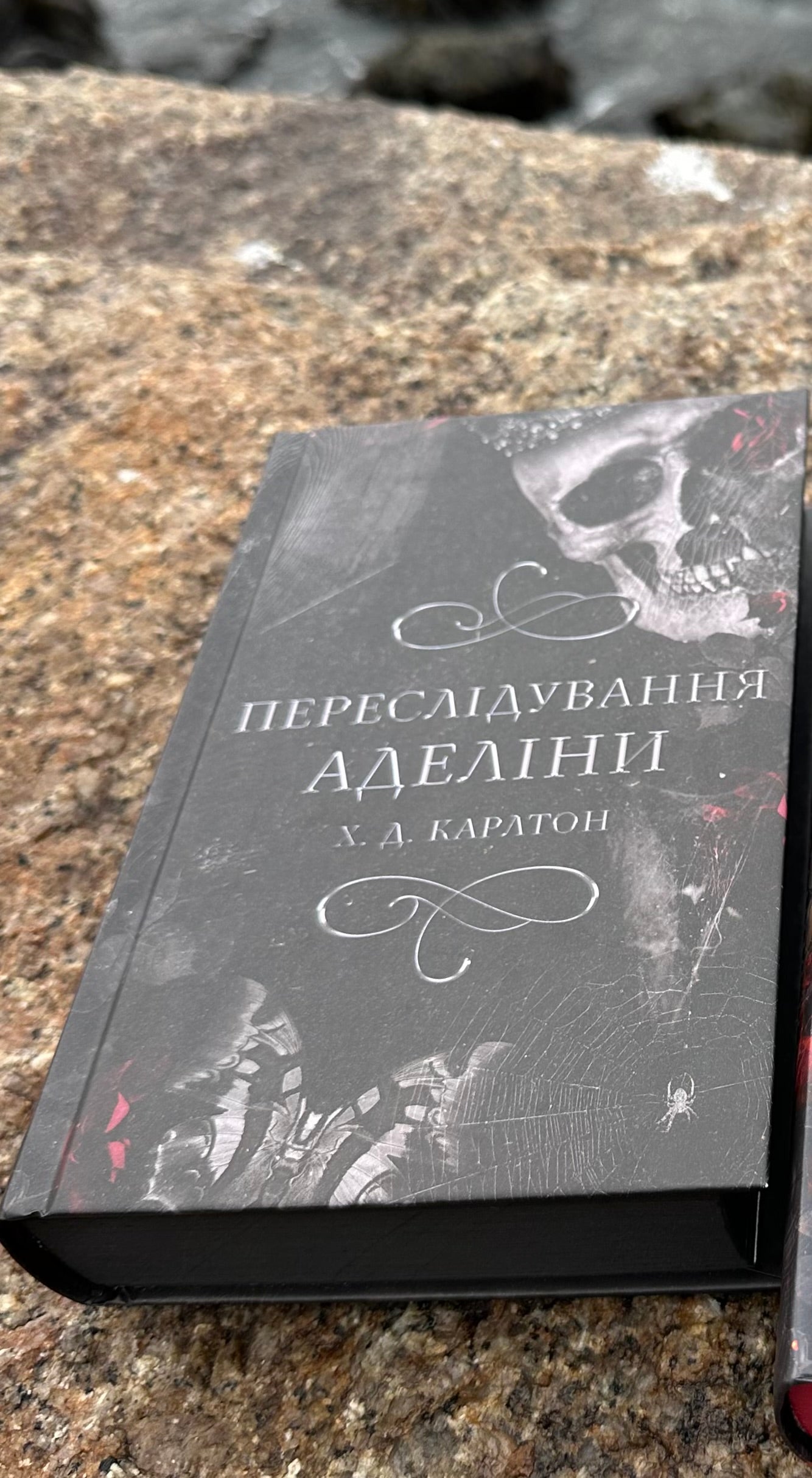 Переслідування Аделіни. Книга 1