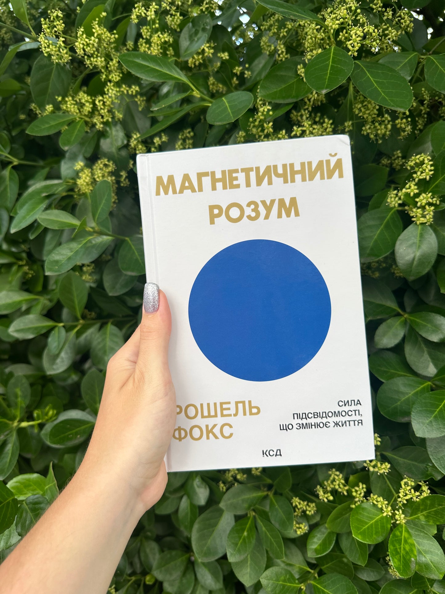 Магнетичний розум: сила підсвідомості, що змінює життя