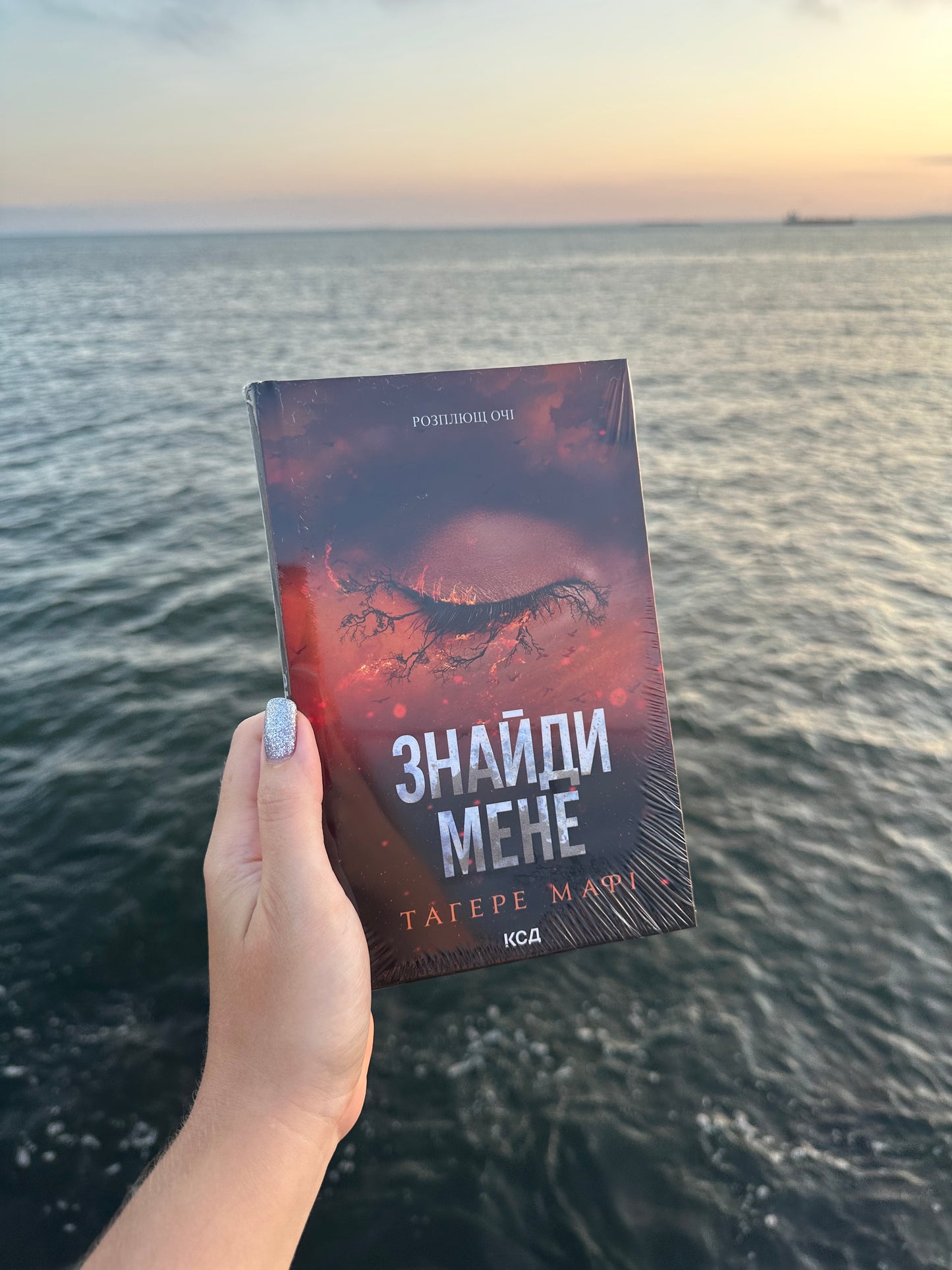 Знайди мене. Новели. Книги 4.5 та 5.5