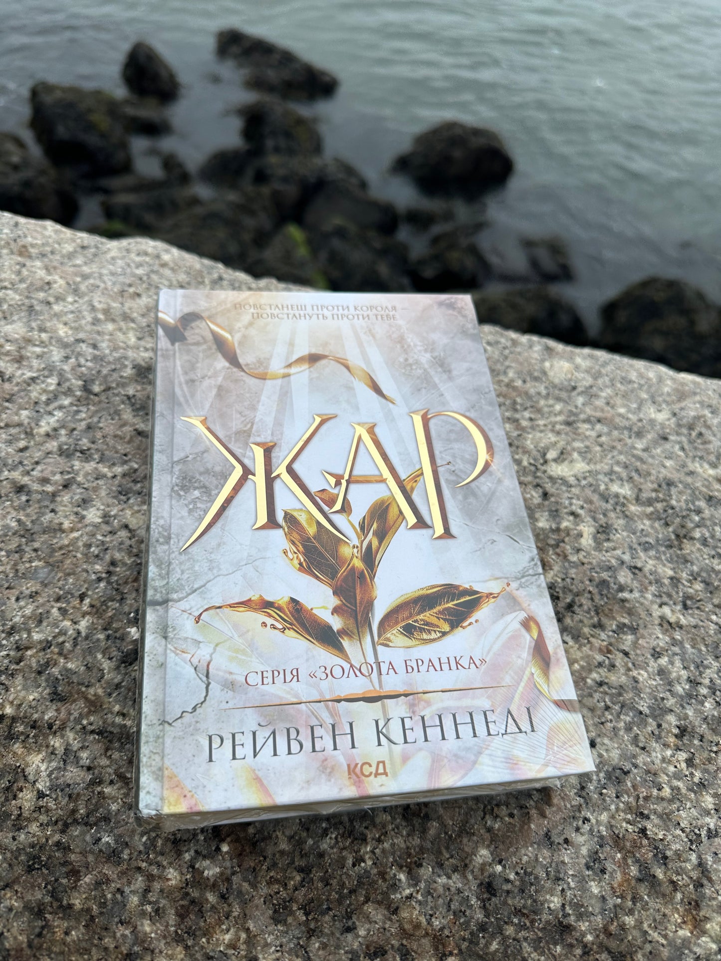 Жар. Книга 4
