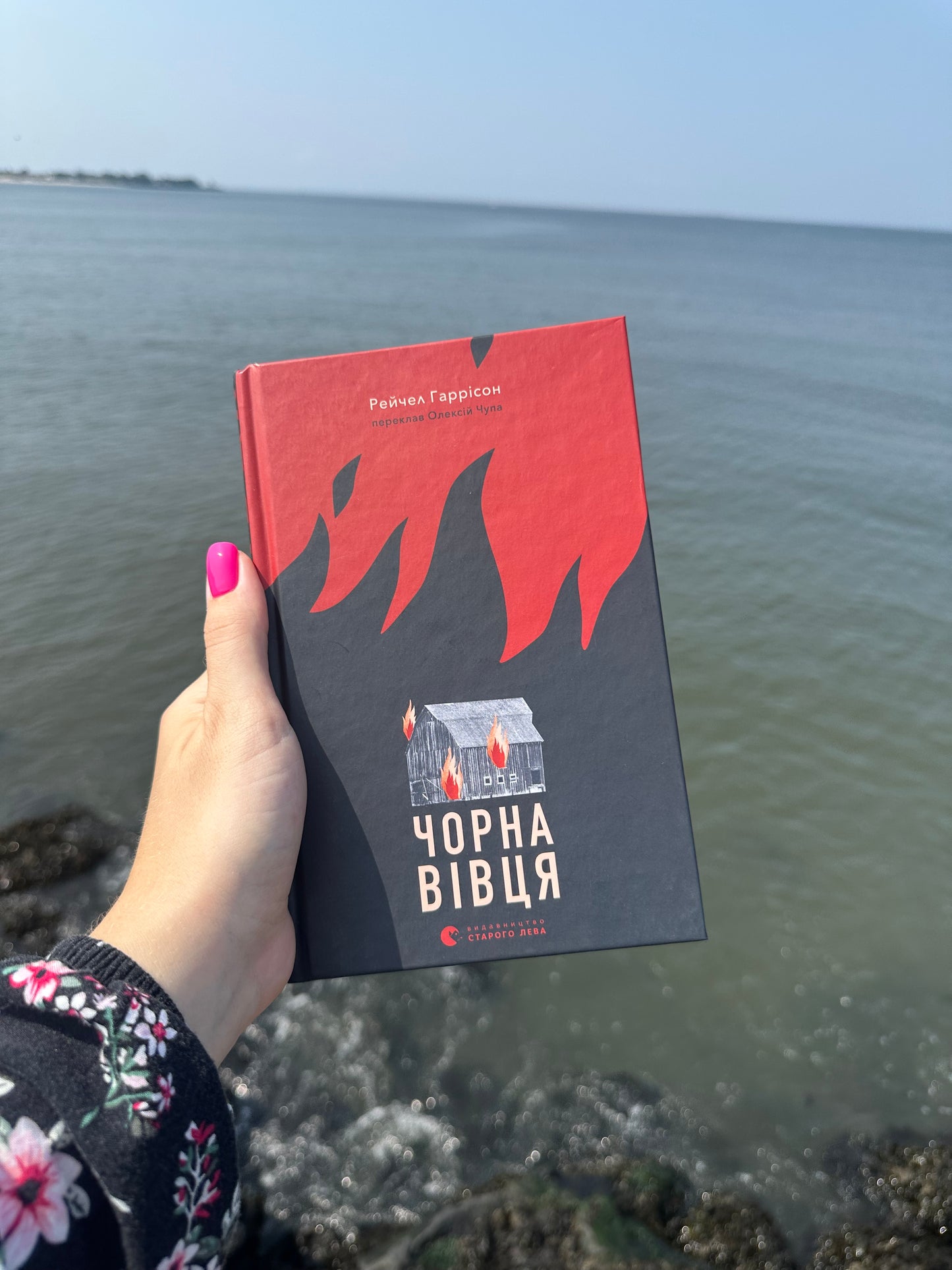 Чорна вівця