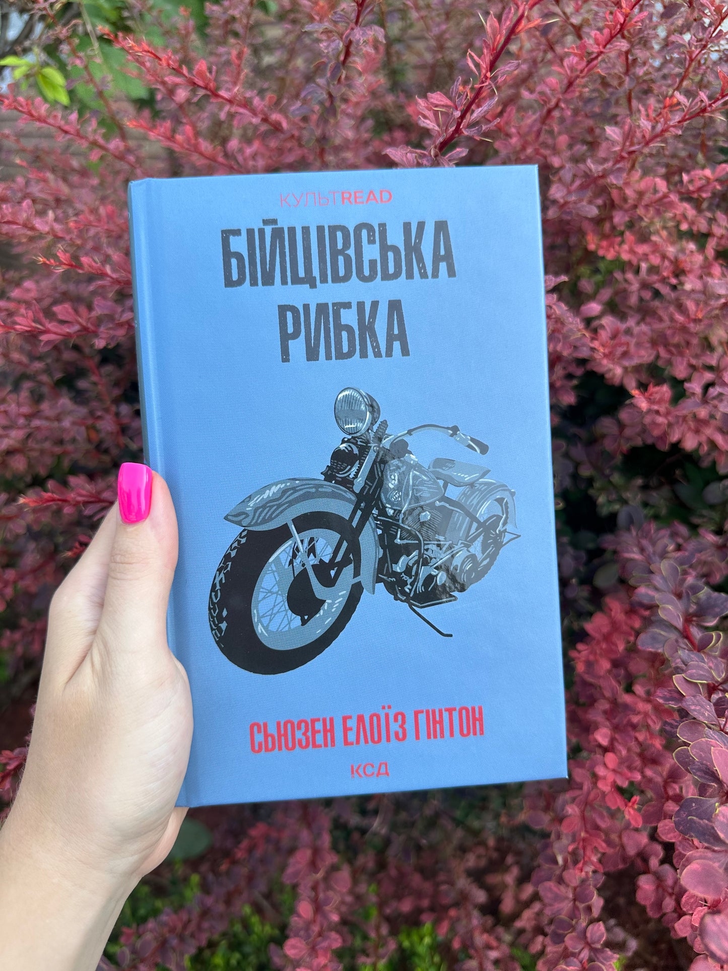 Бійцівська рибка