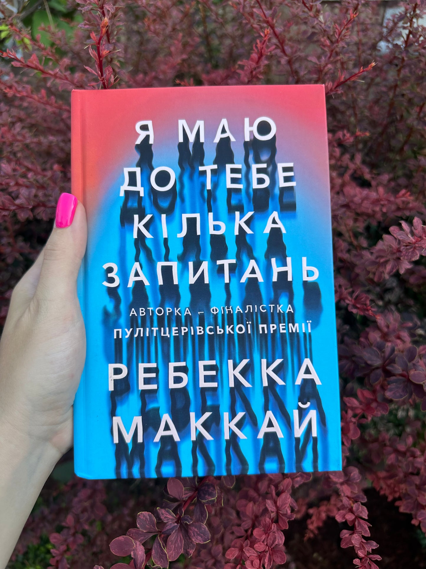 Я маю до тебе кілька запитань