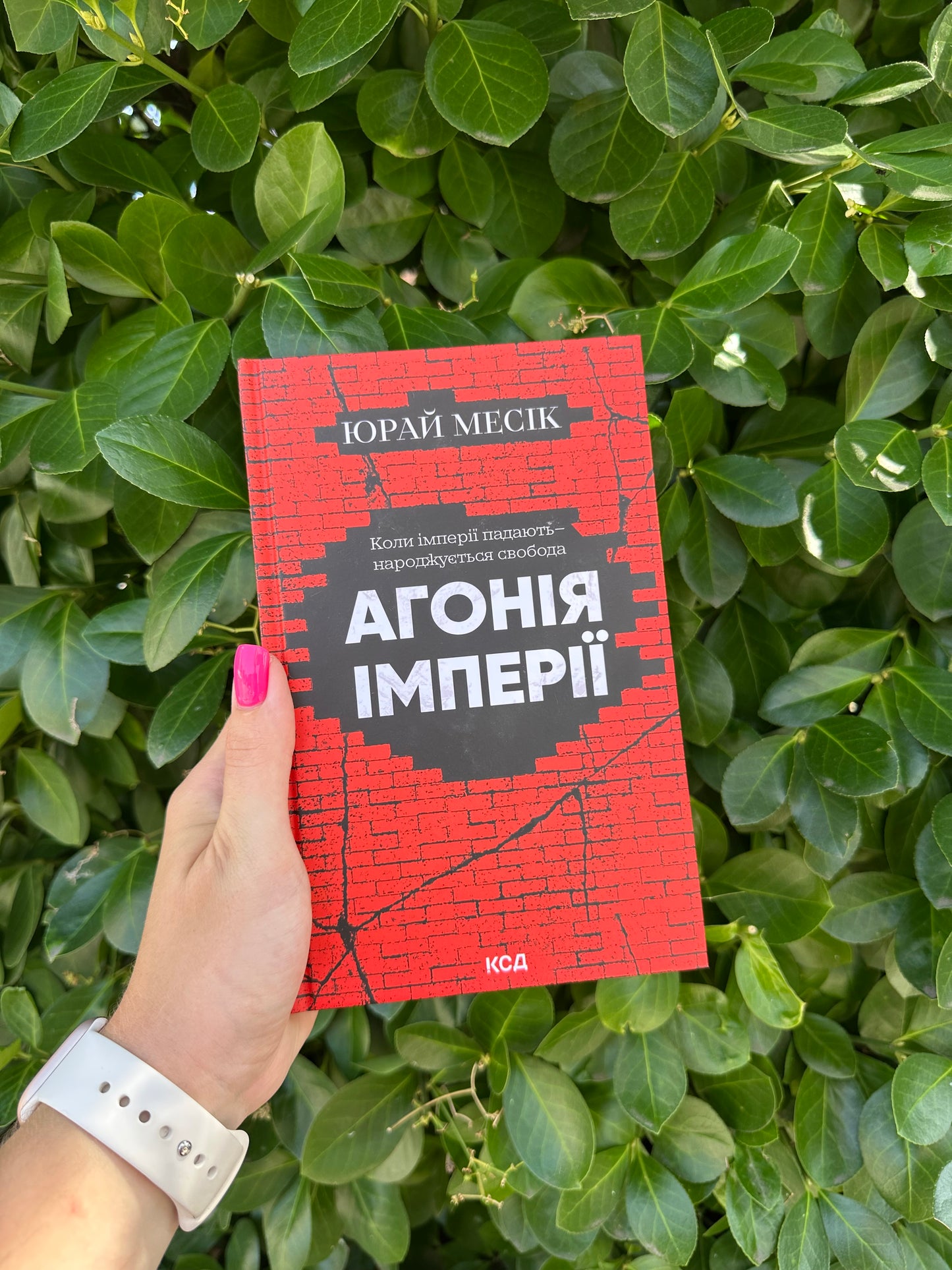 Агонія імперії