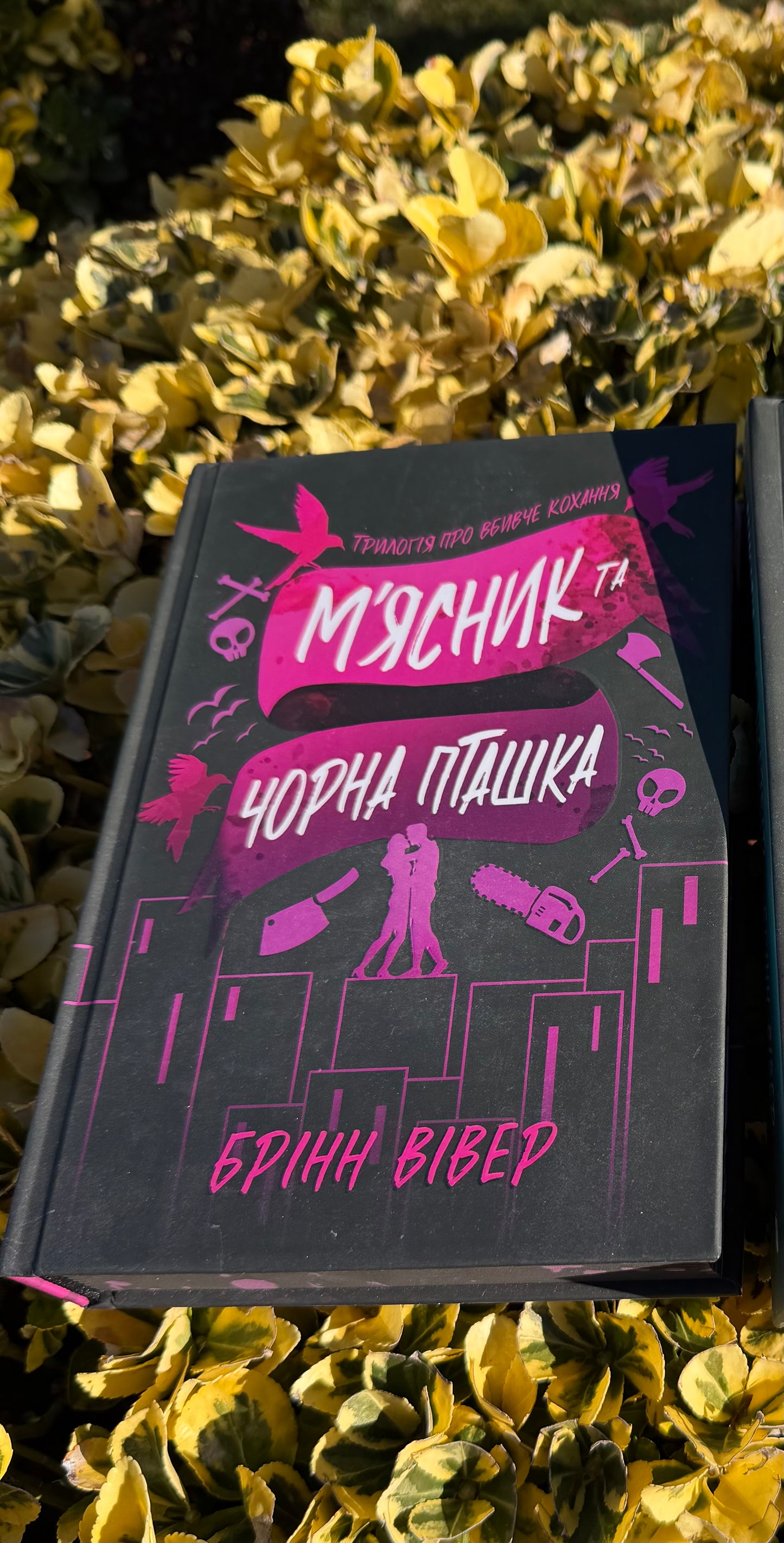 М'ясник і Чорна Пташка. Limited edition