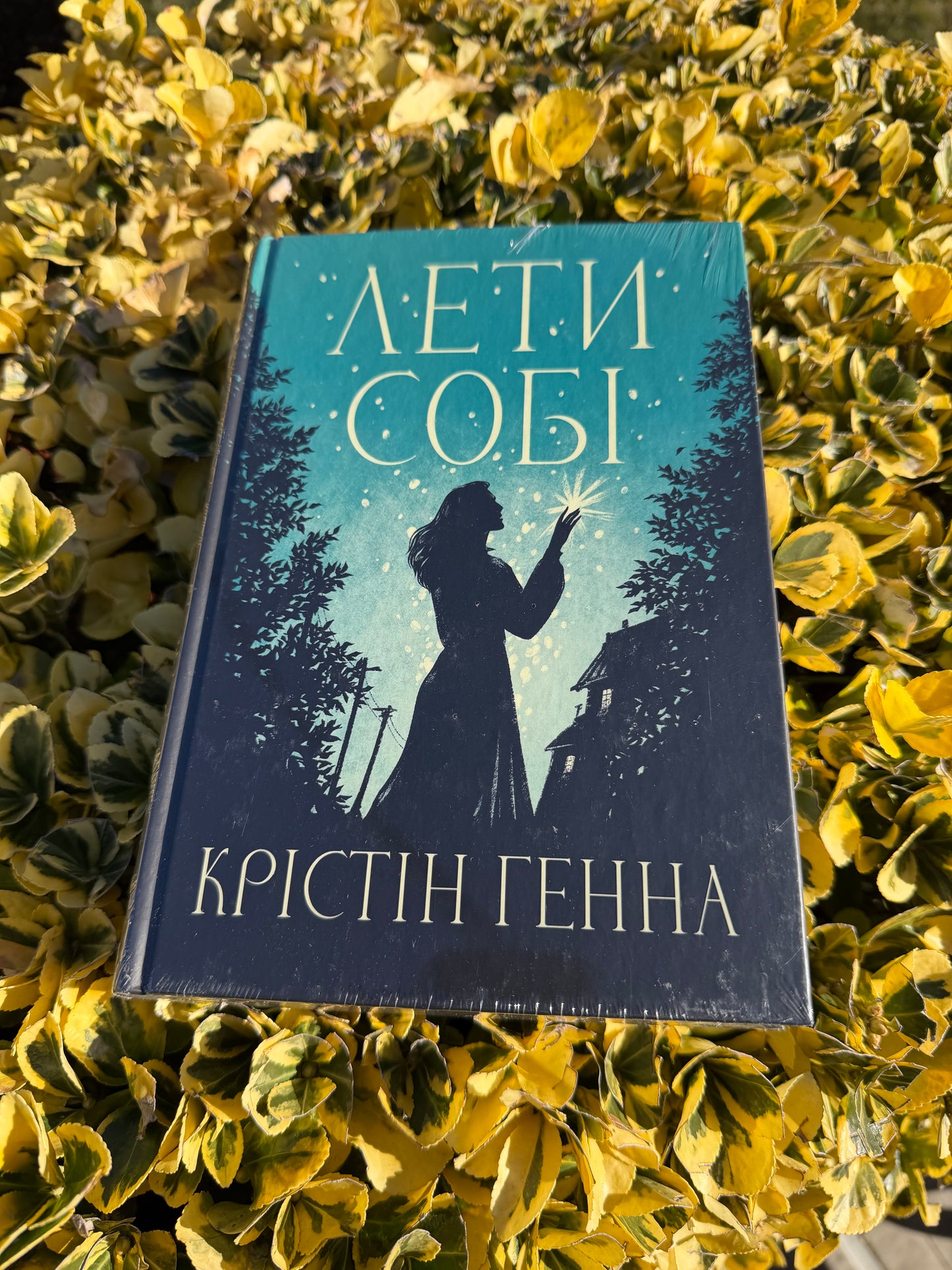 Лети собі. Книга 2