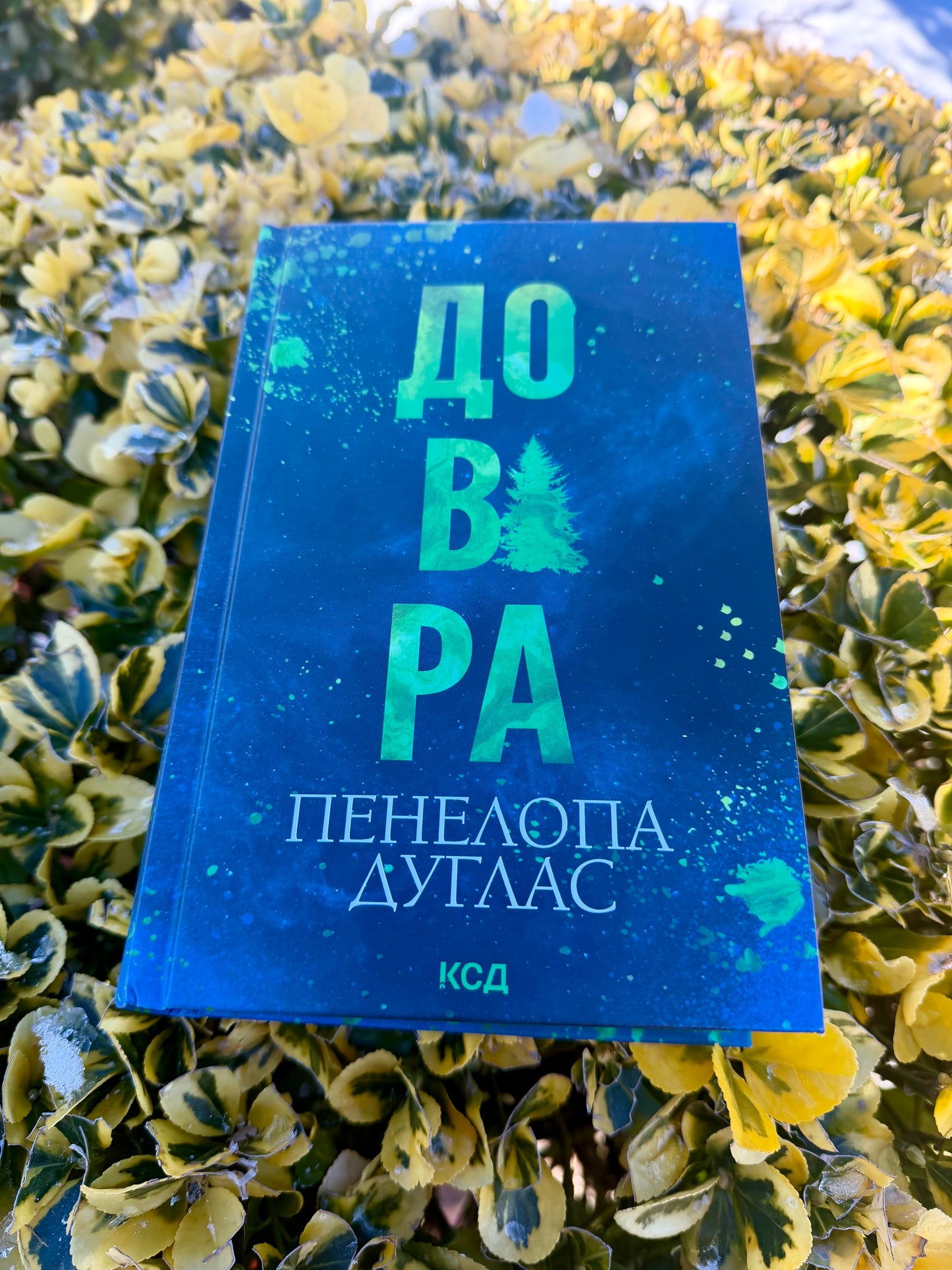 Довіра