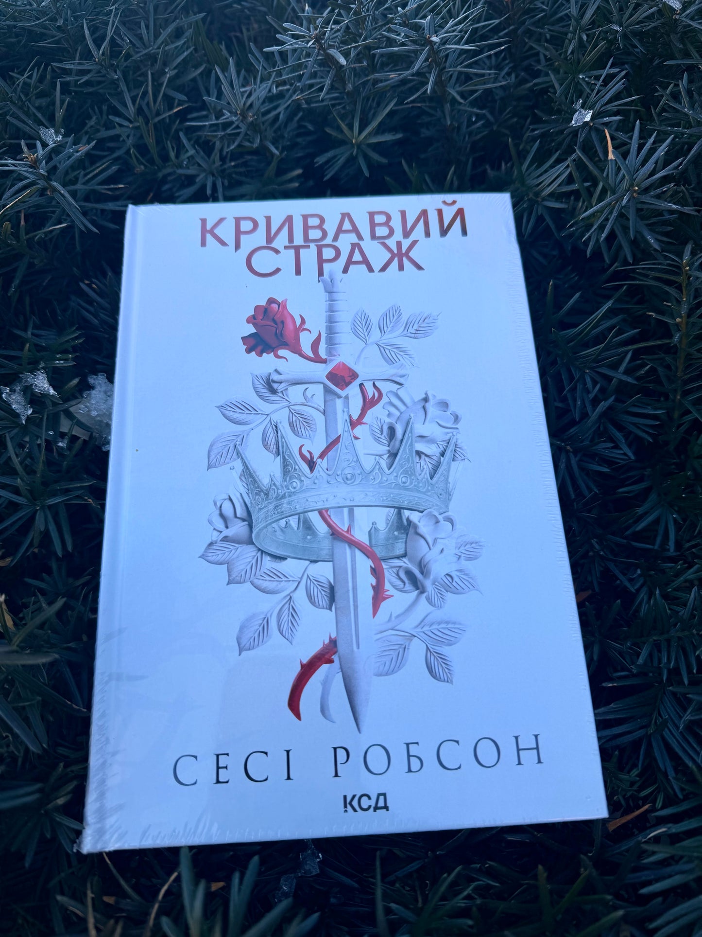 Кривавий страж. Старий Ерт. Книга 1