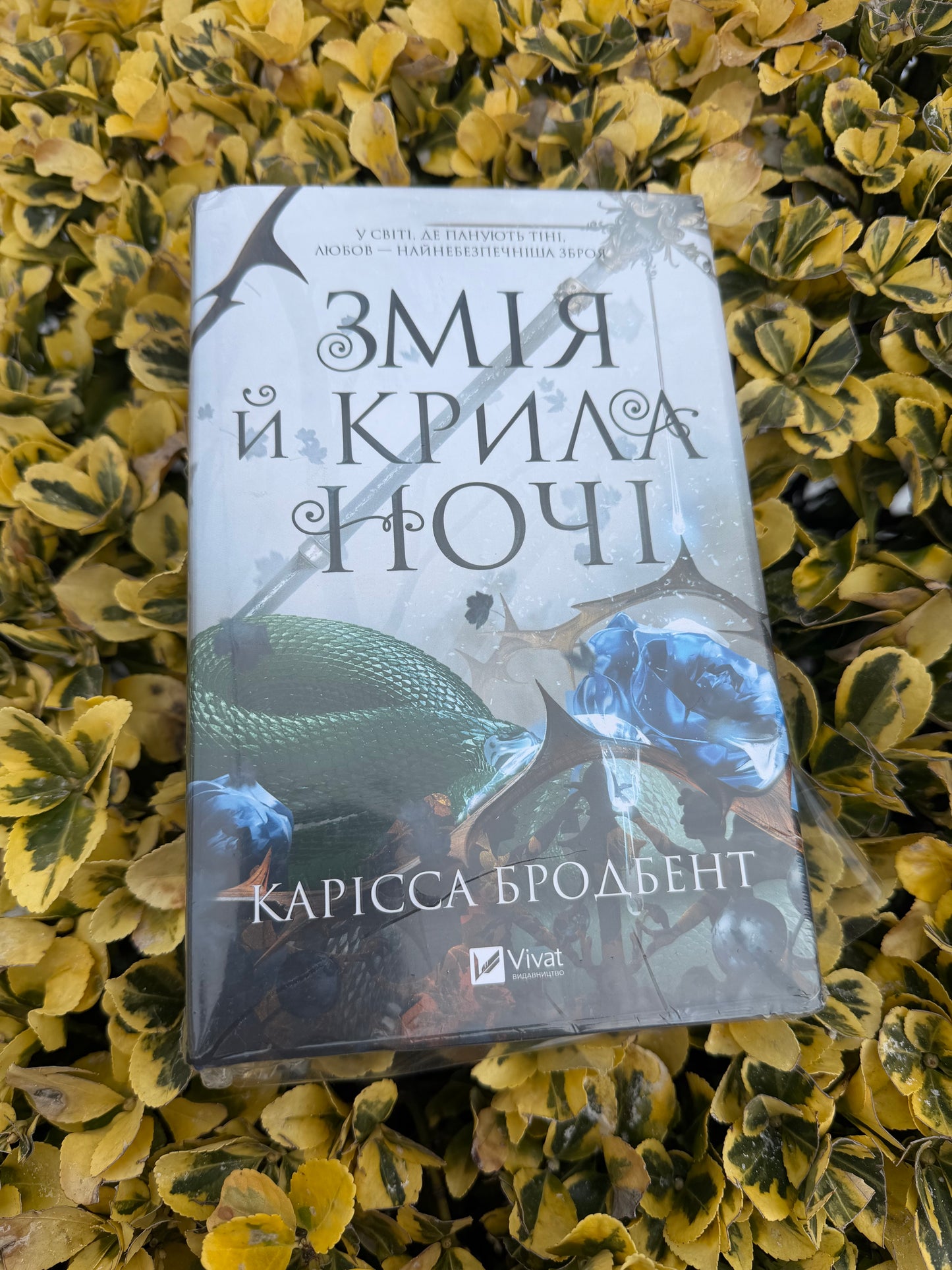 Змія й крила ночі. Книга 1 + суперобкладинка