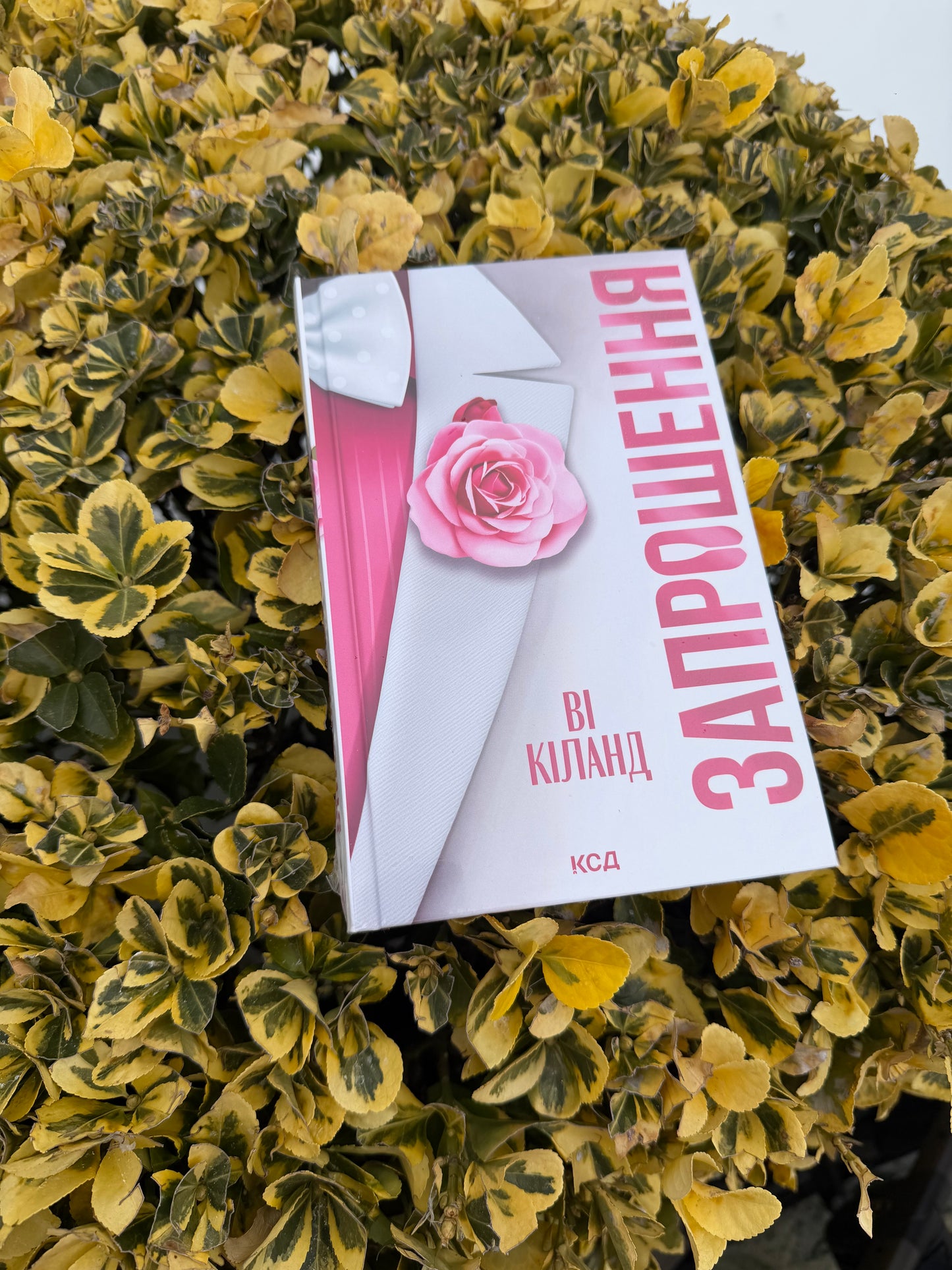 Запрошення
