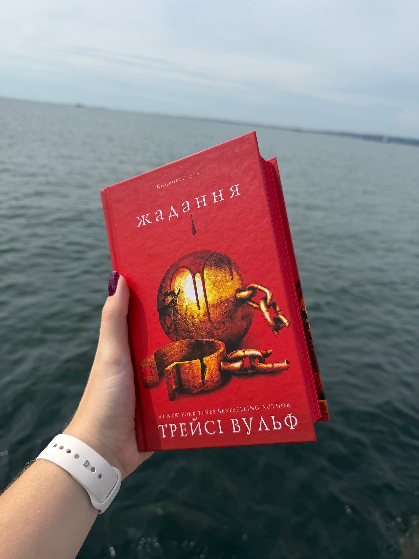 Жага. Книга 3: Жадання