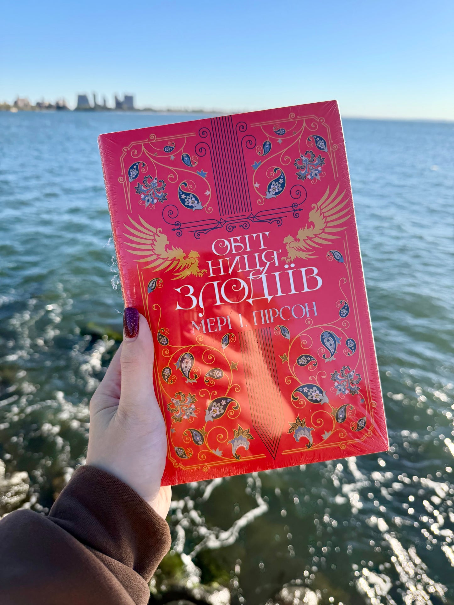 Обітниця злодіїв. Книга 2 + суперобкладинка