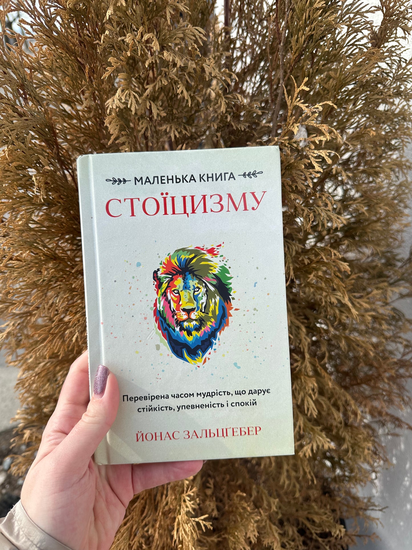 Маленька книга стоїцизму. Перевірена часом мудрість, що дарує стійкість, упевненість і спокій