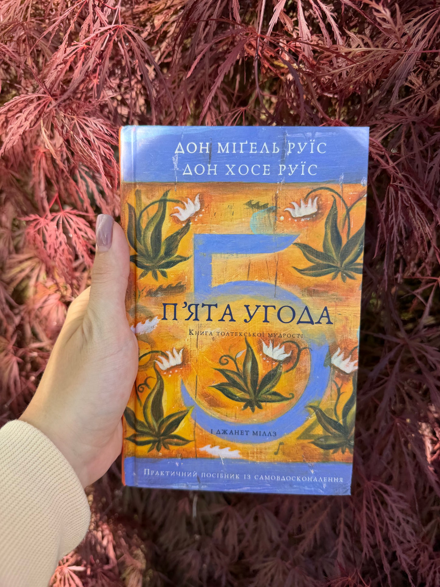 П’ята угода. Книга толтекської мудрості. Практичний посібник із самовдосконалення