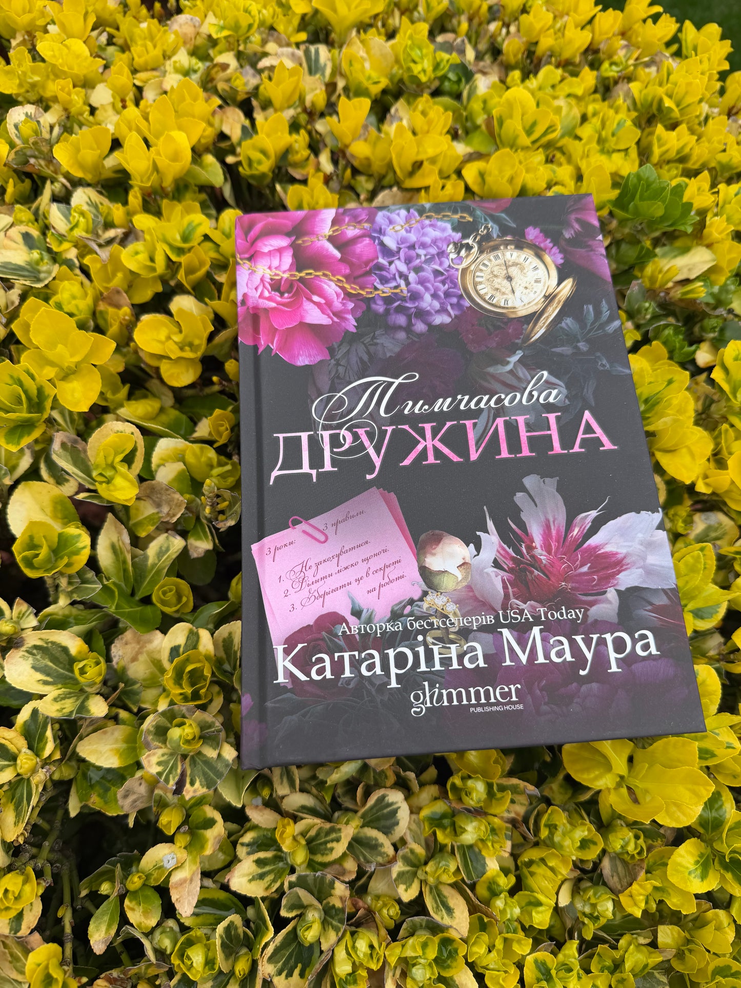 Тимчасова дружина. Книга 2