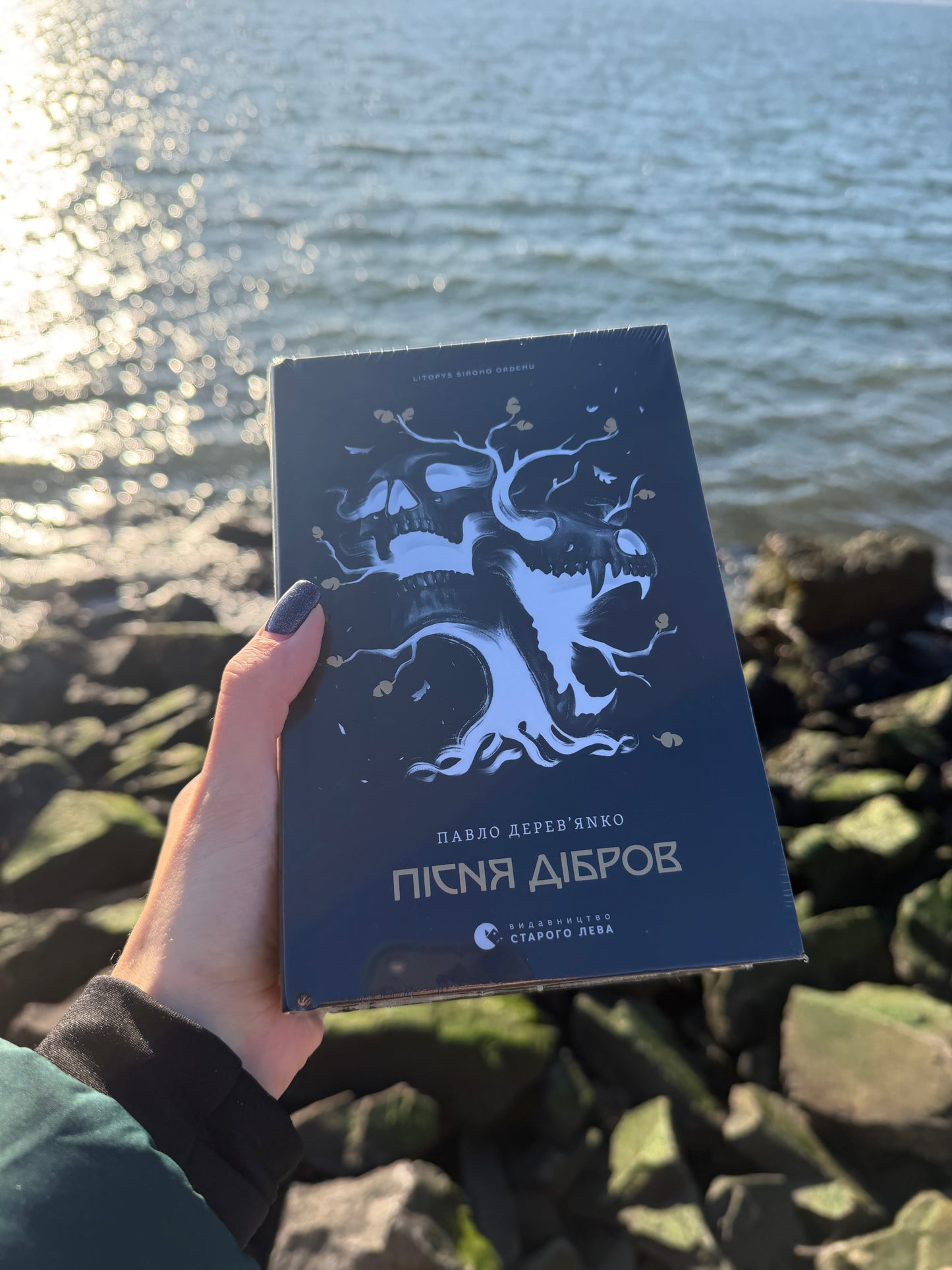 Літопис Сірого Ордену. Пісня дібров. Книга 3