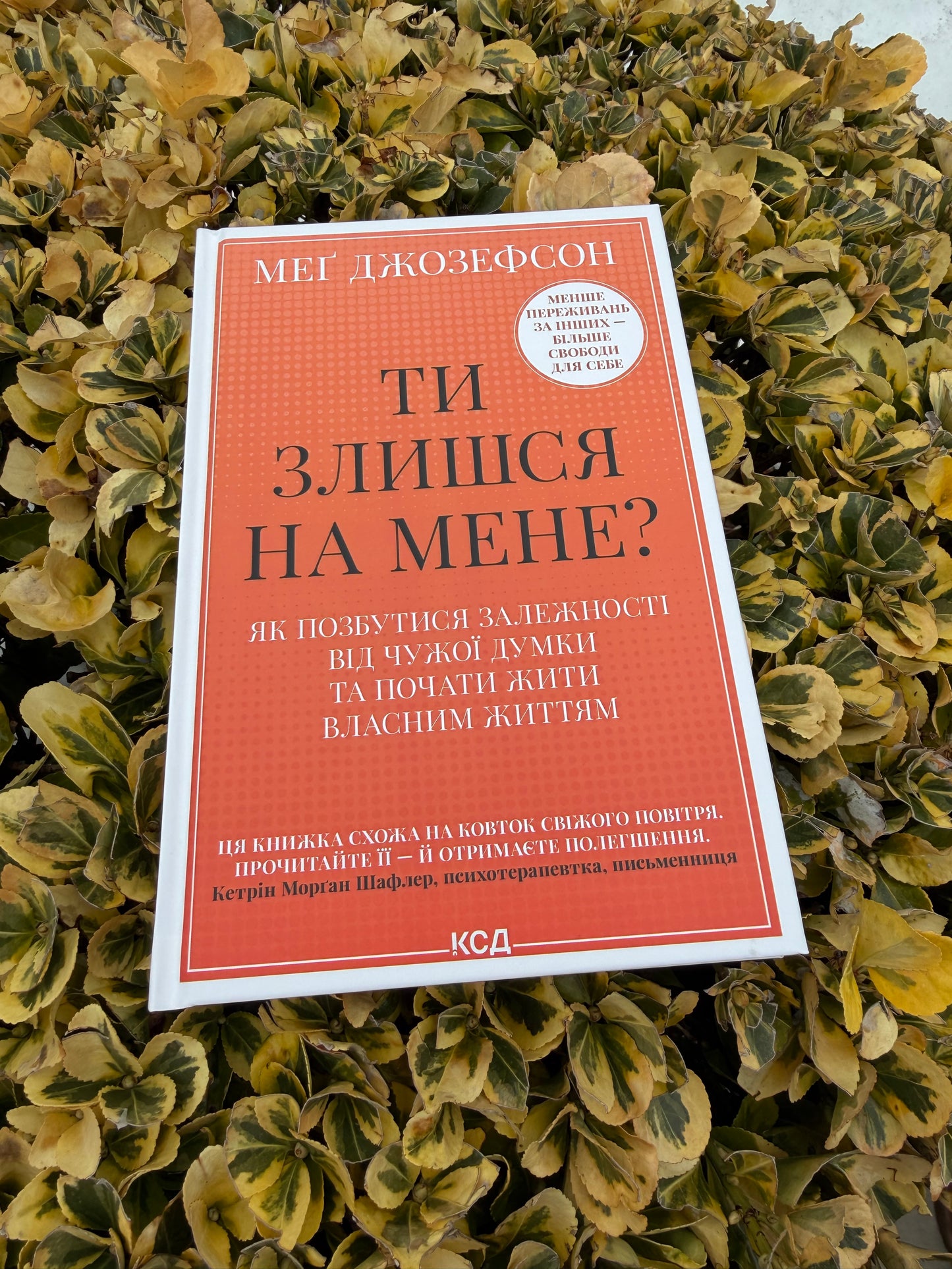 Ти злишся на мене? Як позбутися залежності від чужої думки та почати жити власним життям