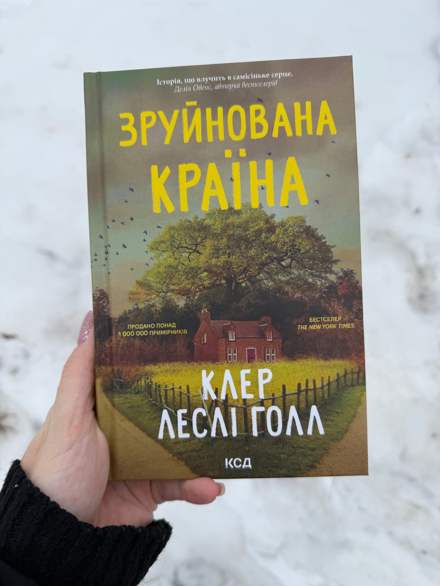 Зруйнована країна